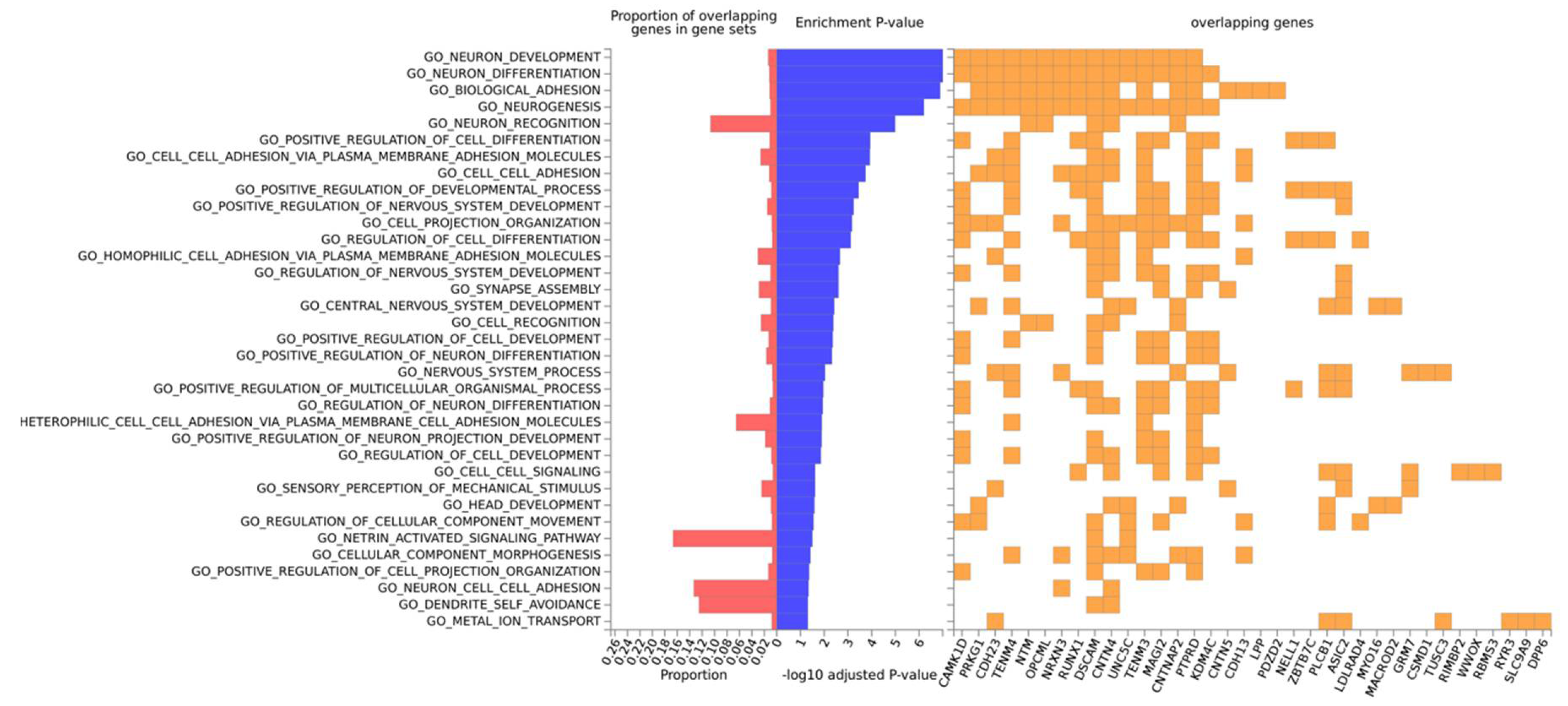 Brainsci 10 00870 g005