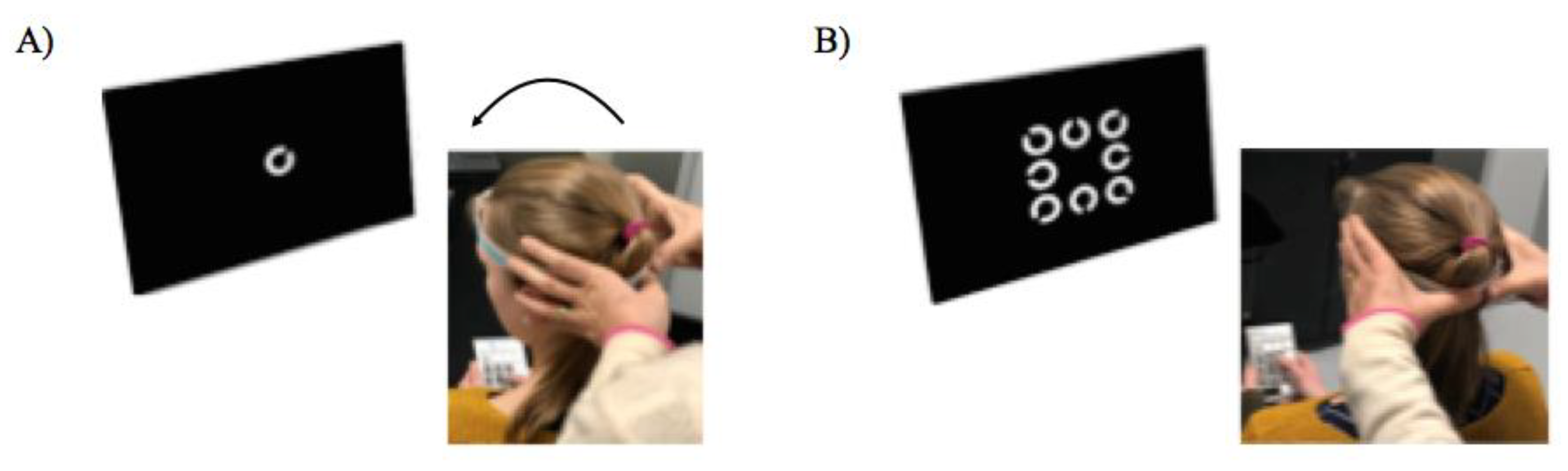 Brainsci 10 00887 g001