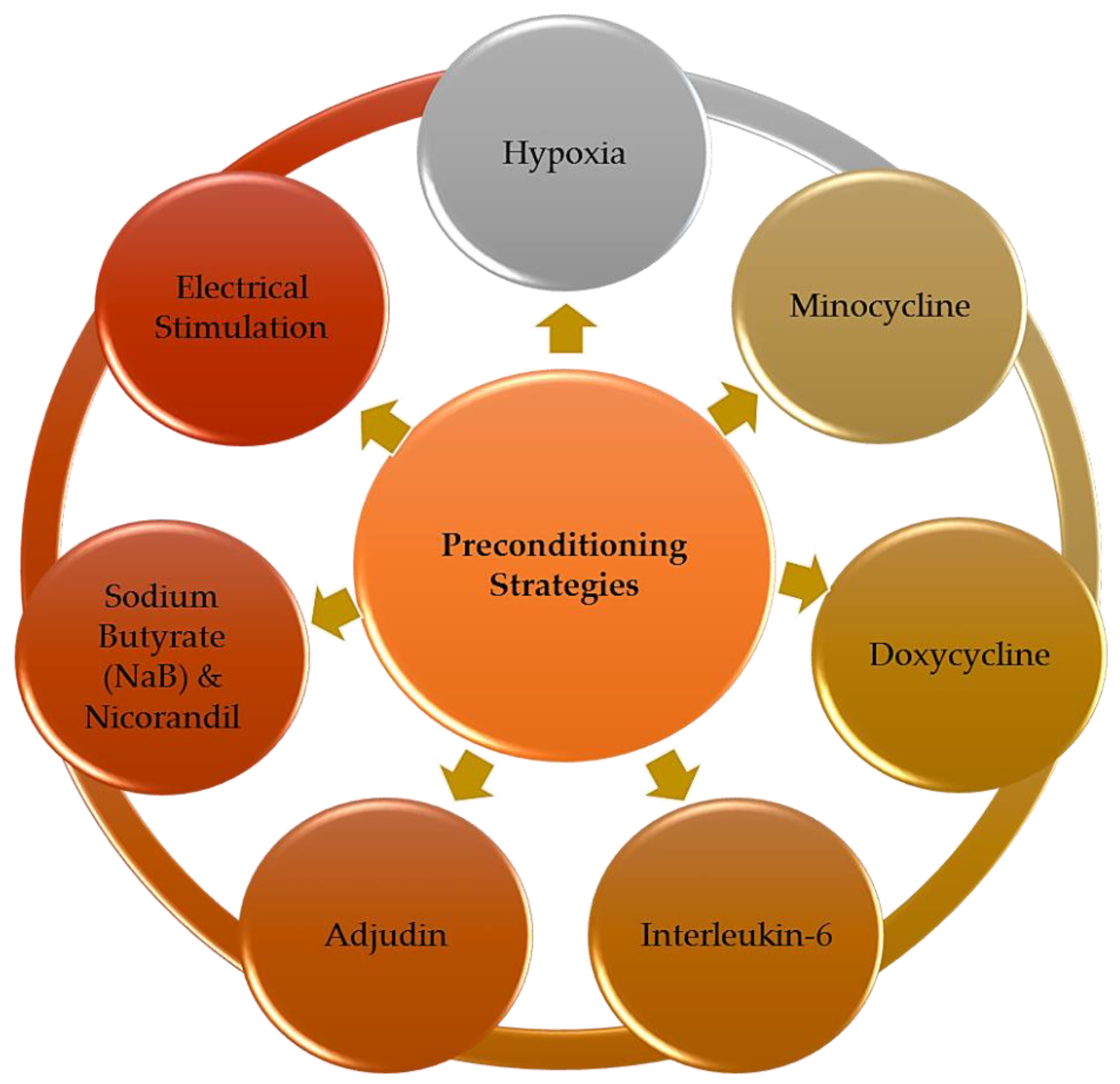 Brainsci 10 00893 g003