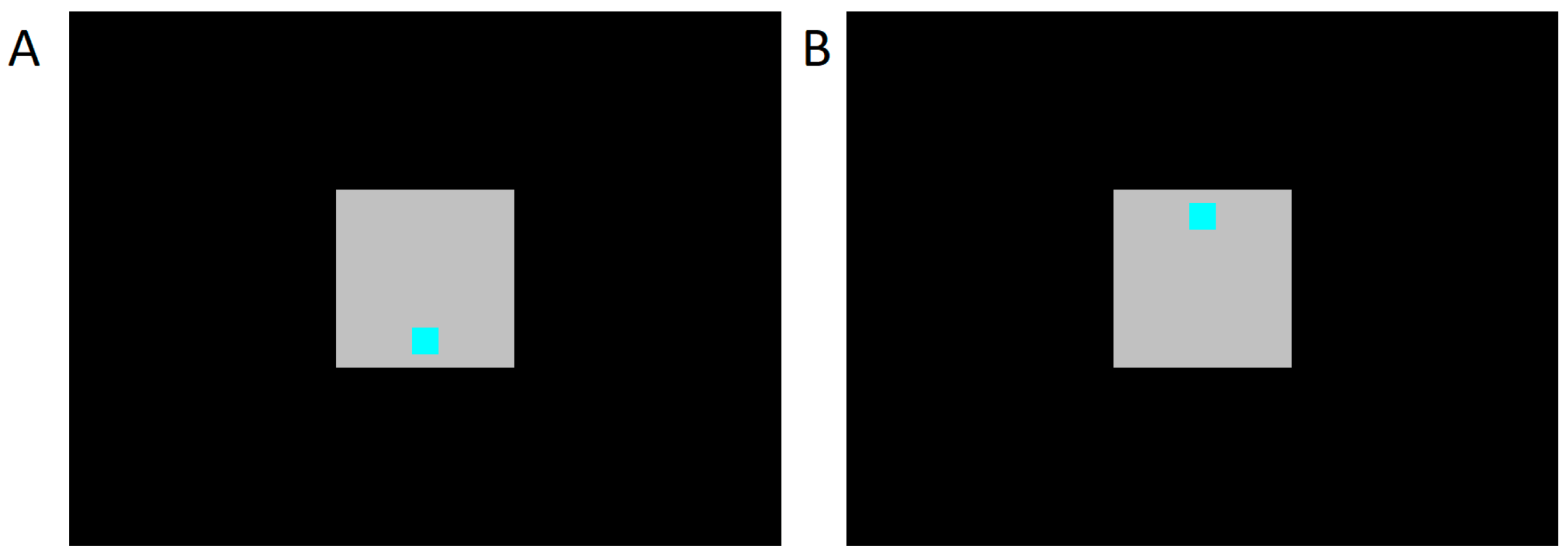 Brainsci 10 00894 g002