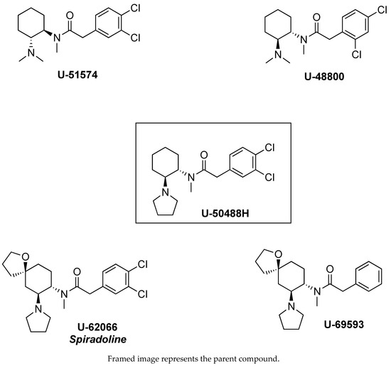 Synthetic Opioids: Considerations for the Class-Wide Scheduling of Fentanyl-Related  Substances