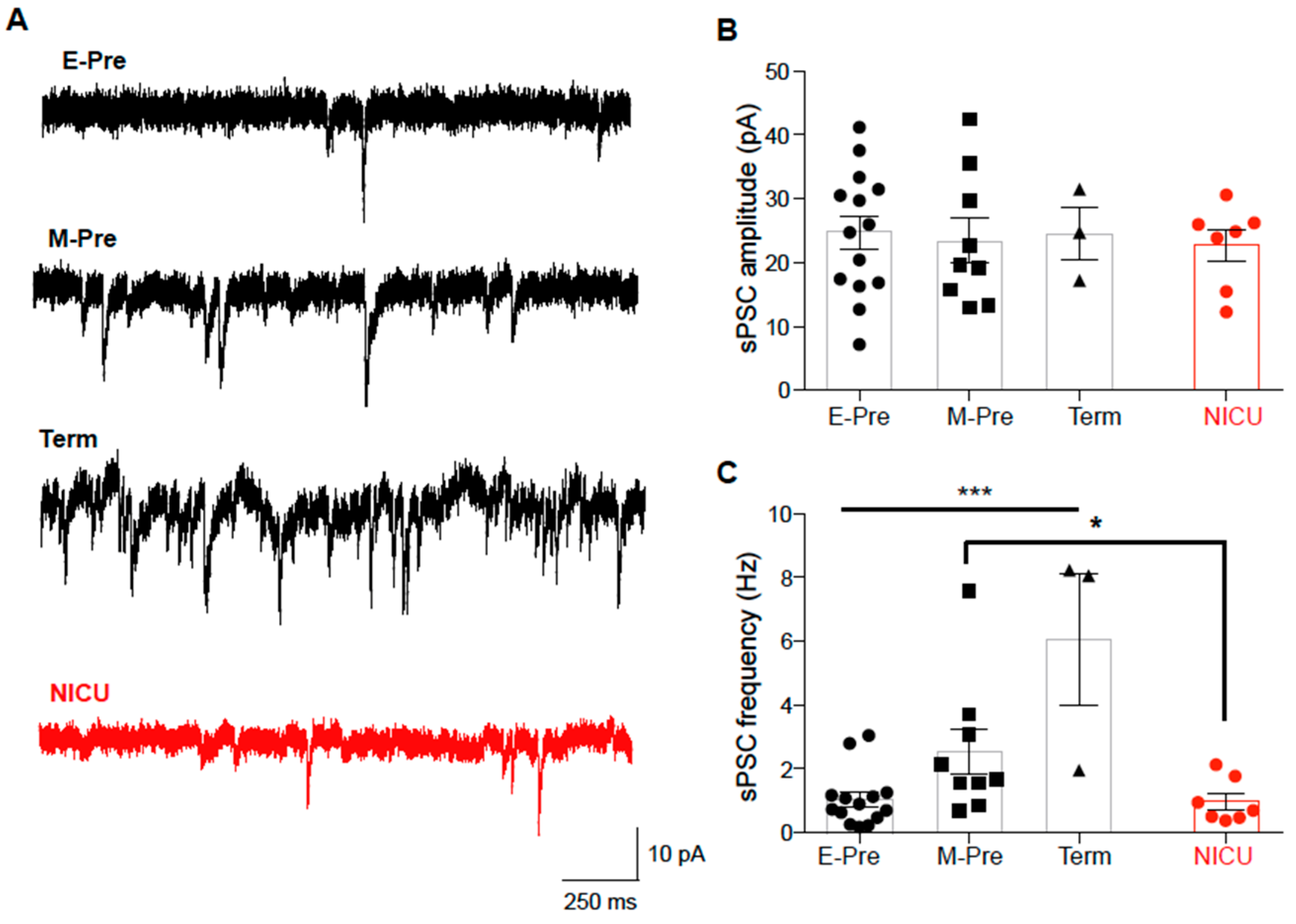 Brainsci 10 00897 g003 Brainsci 10 00897 g003