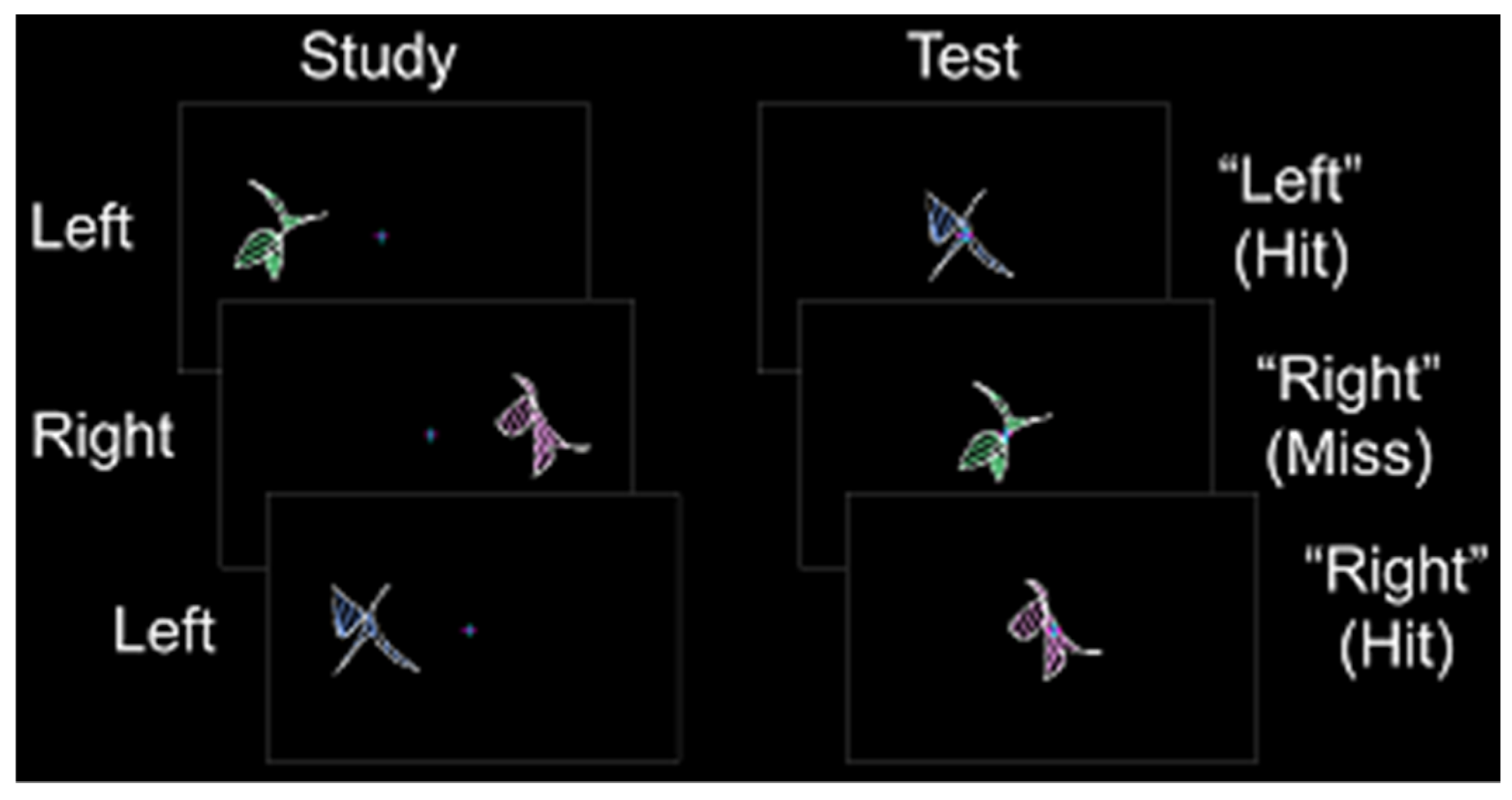 Brainsci 10 00898 g001 Brainsci 10 00898 g001