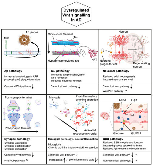 Brainsci 10 00902 g002 550