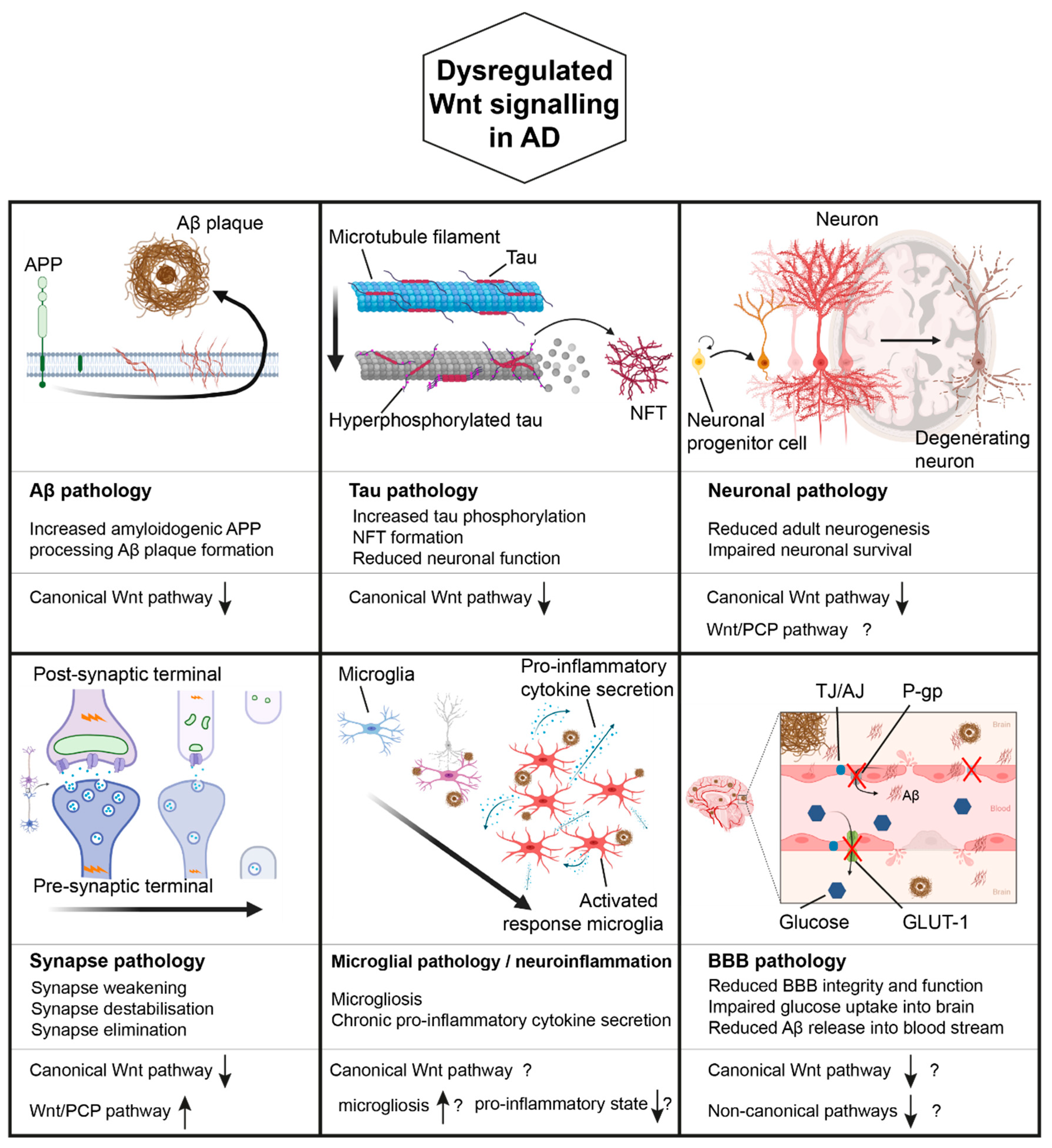 Brainsci 10 00902 g002