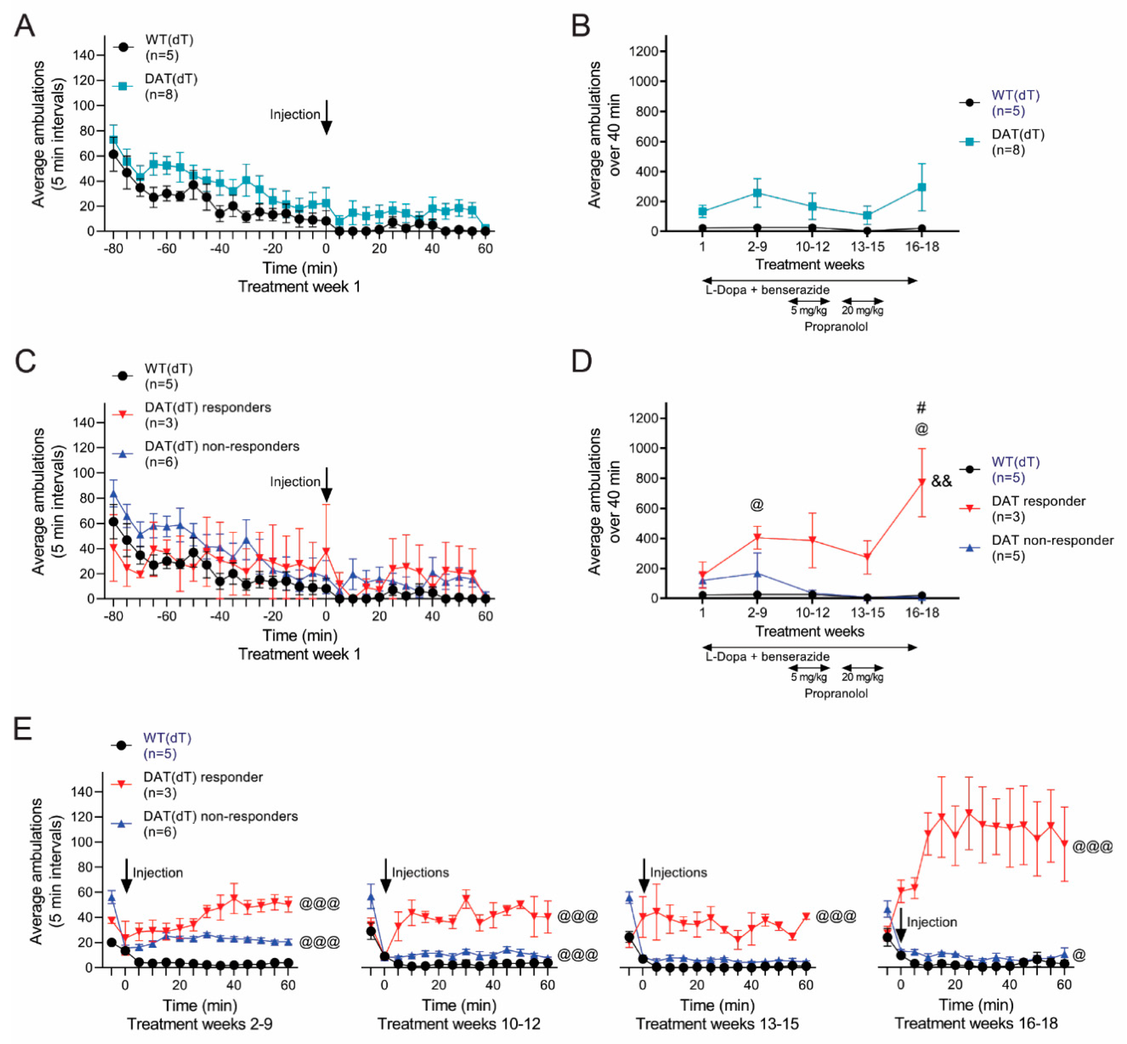 Brainsci 10 00903 g005