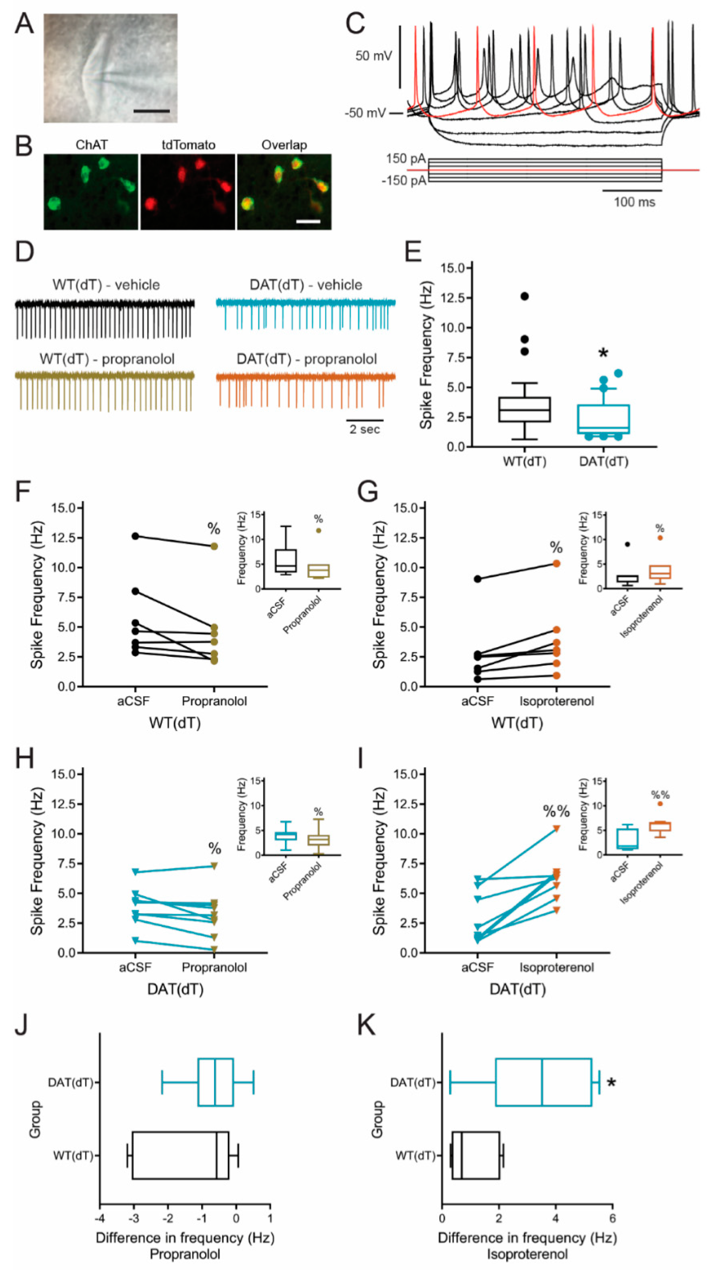 Brainsci 10 00903 g006