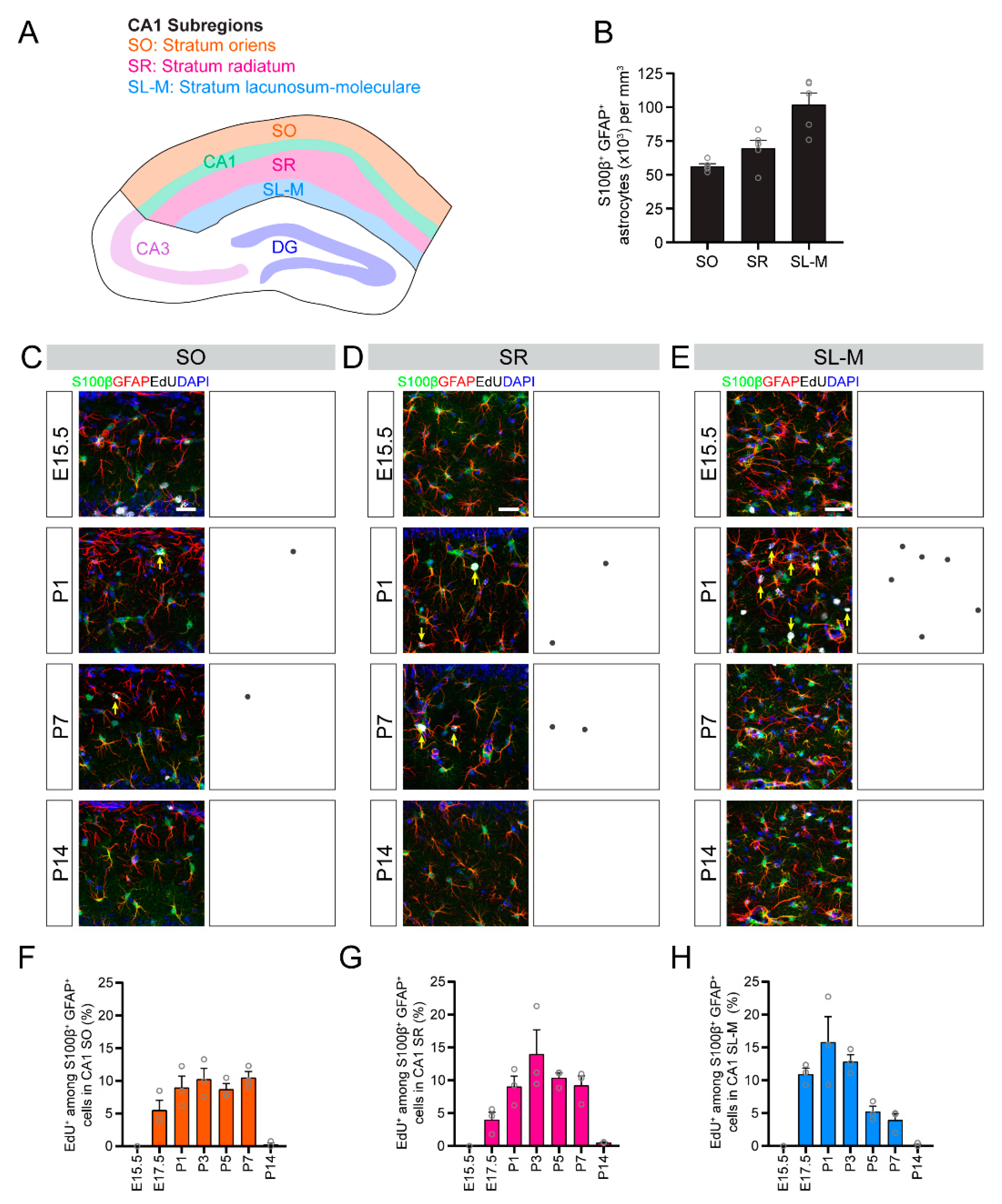 Brainsci 10 00909 g003