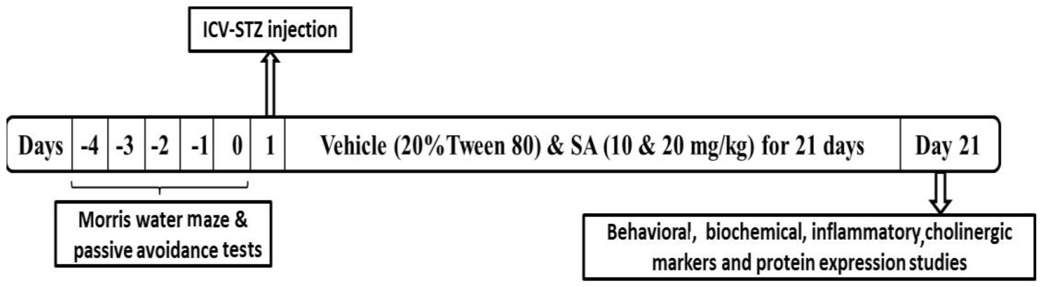 Brainsci 10 00923 g001 Brainsci 10 00923 g001
