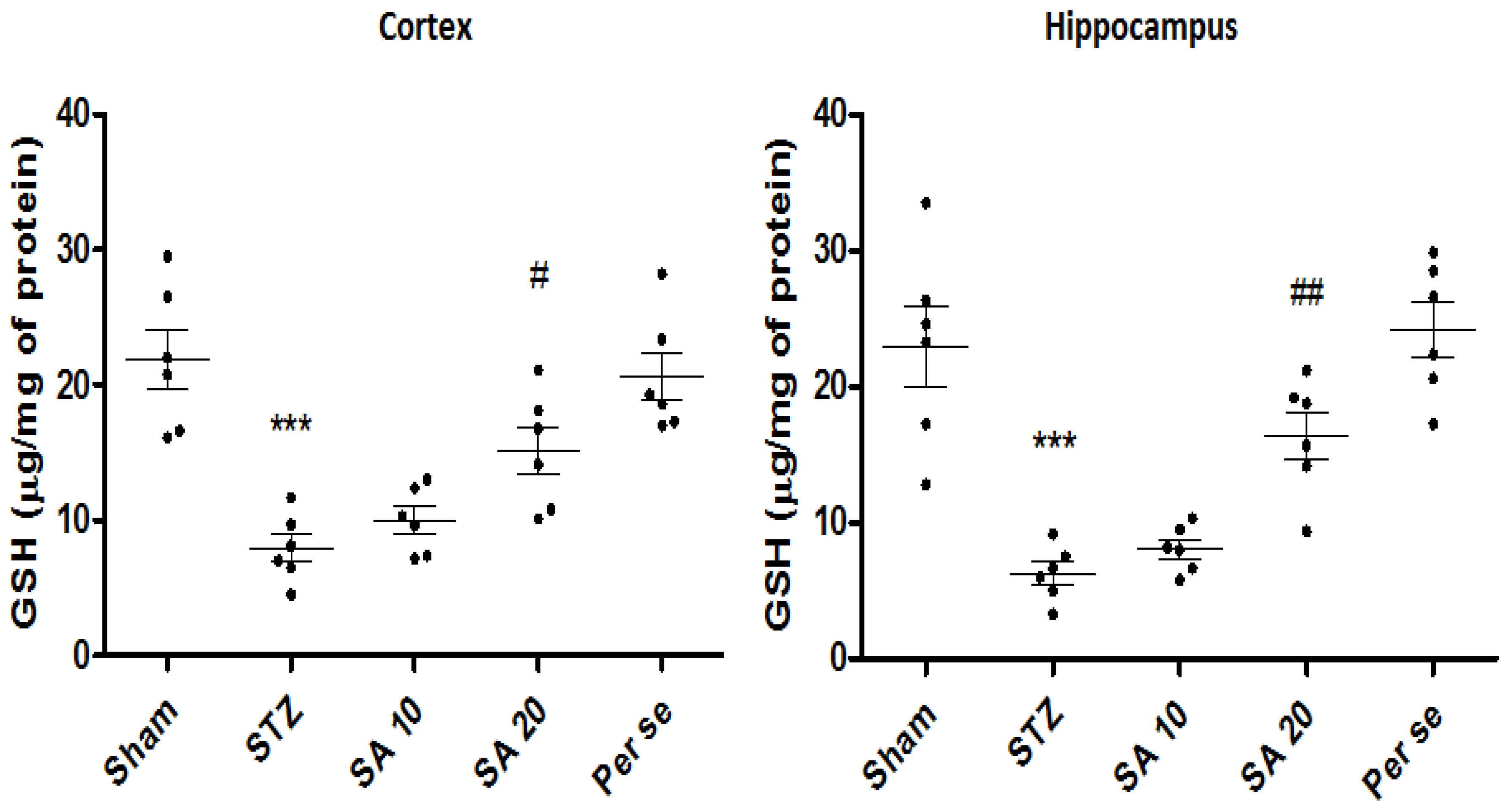 Brainsci 10 00923 g005 Brainsci 10 00923 g005