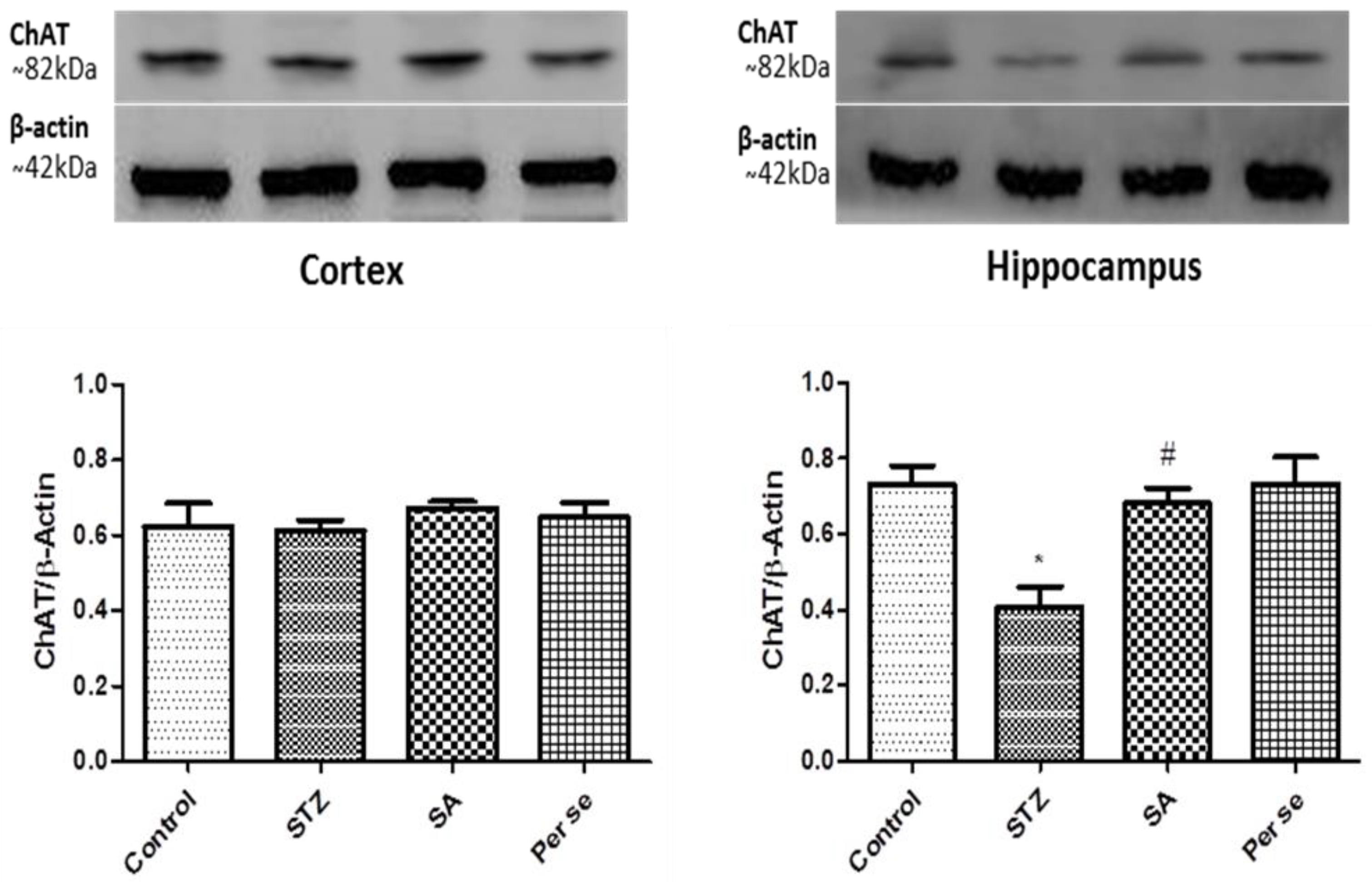 Brainsci 10 00923 g009 Brainsci 10 00923 g009
