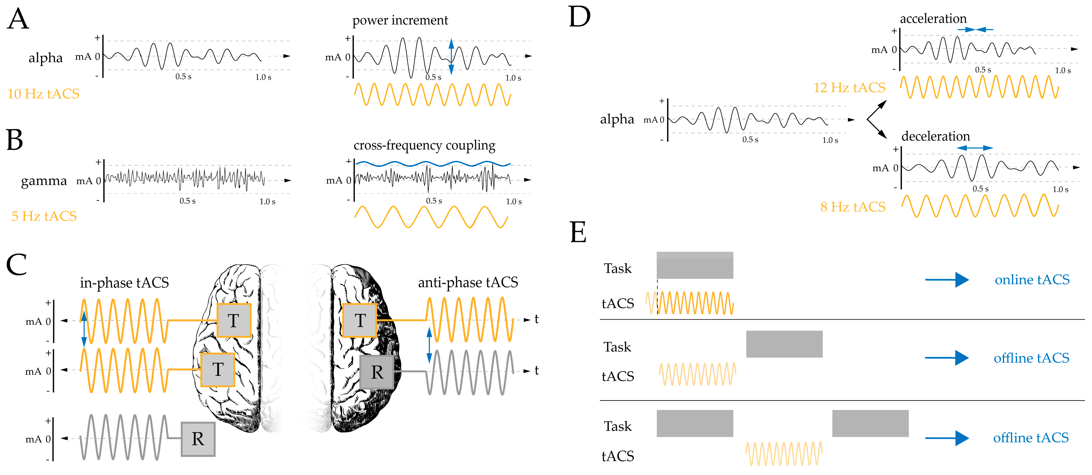 Brainsci 10 00932 g001