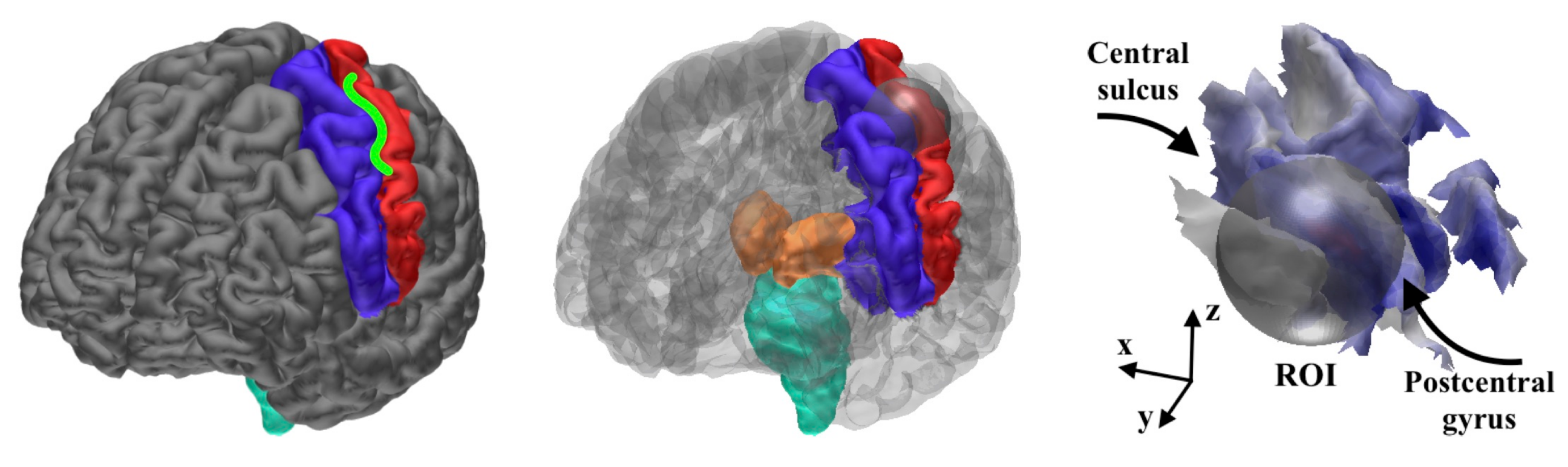 Brainsci 10 00934 g004 Brainsci 10 00934 g004
