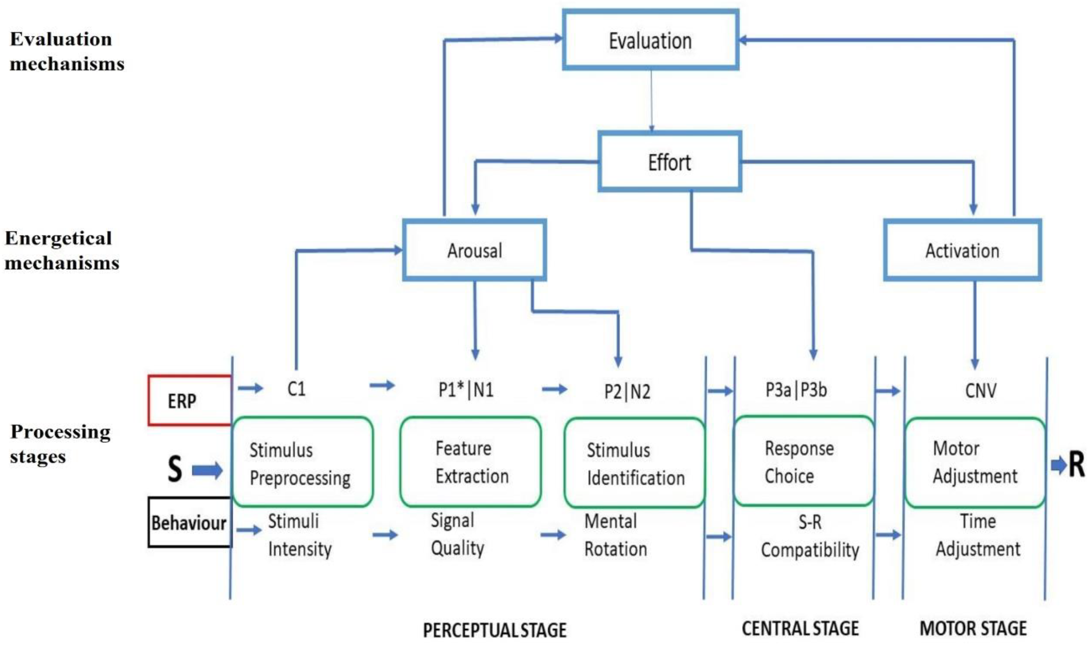 Brainsci 10 00935 g001 Brainsci 10 00935 g001