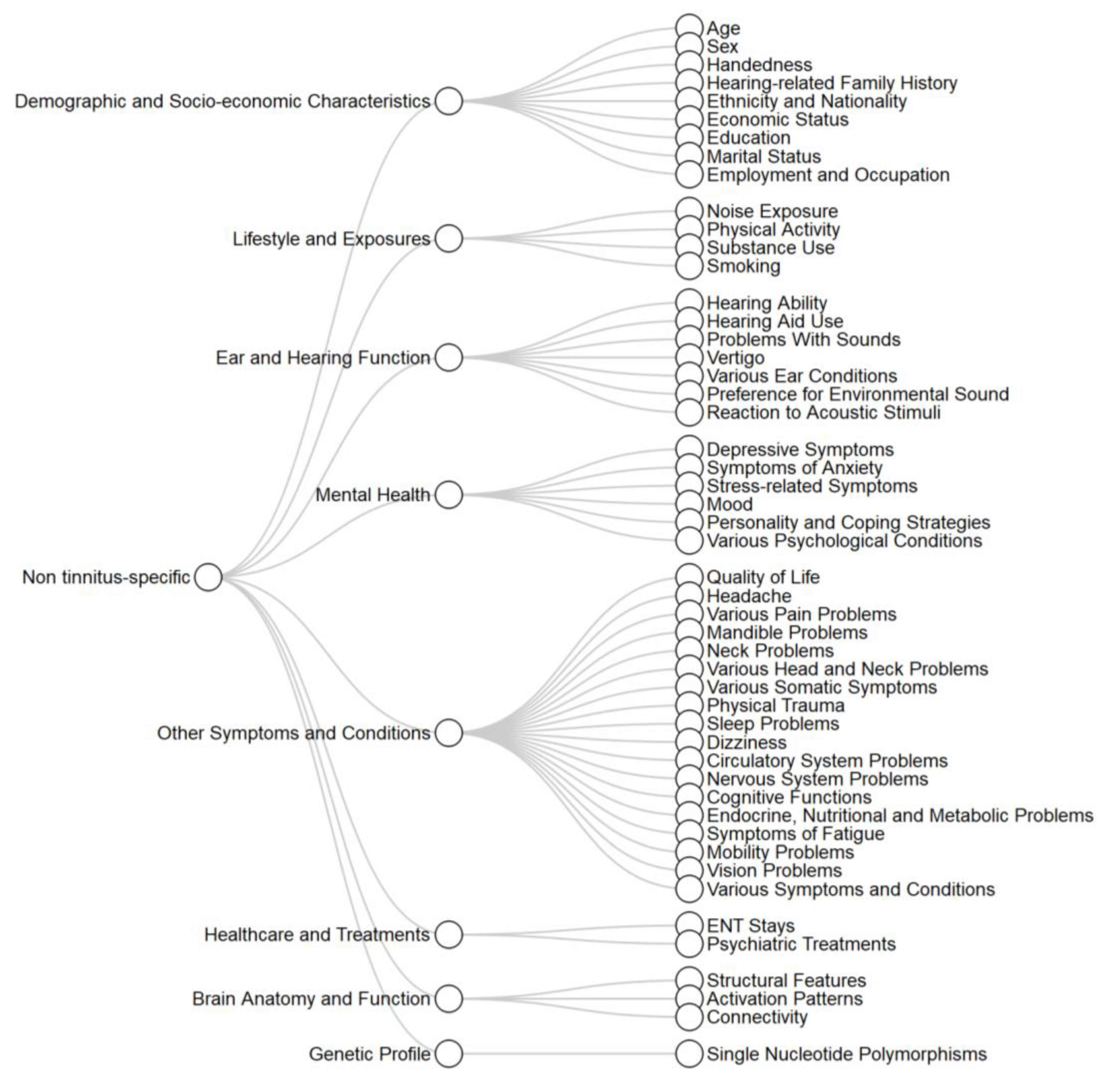 Brainsci 10 00938 g003