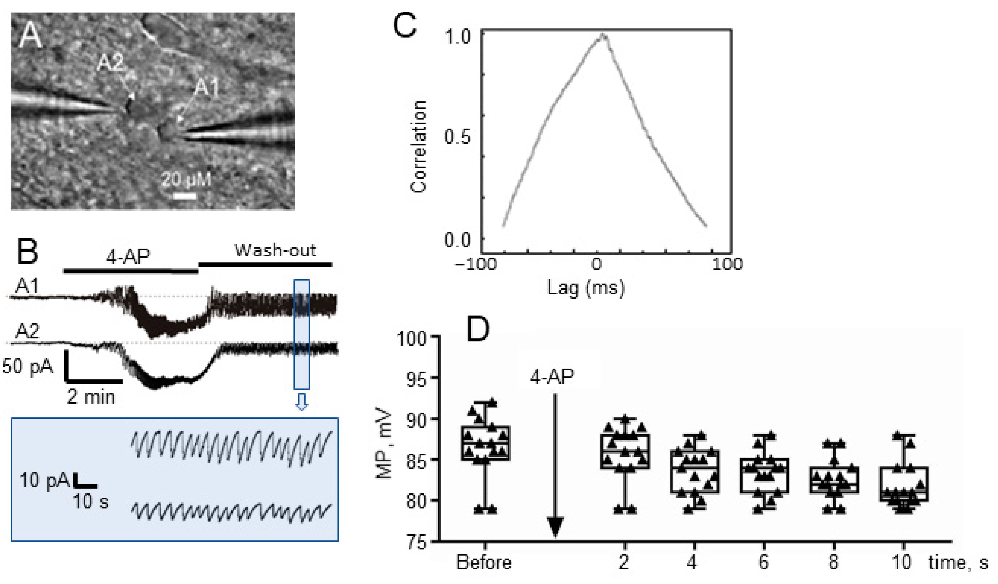 Brainsci 10 00942 g002 Brainsci 10 00942 g002