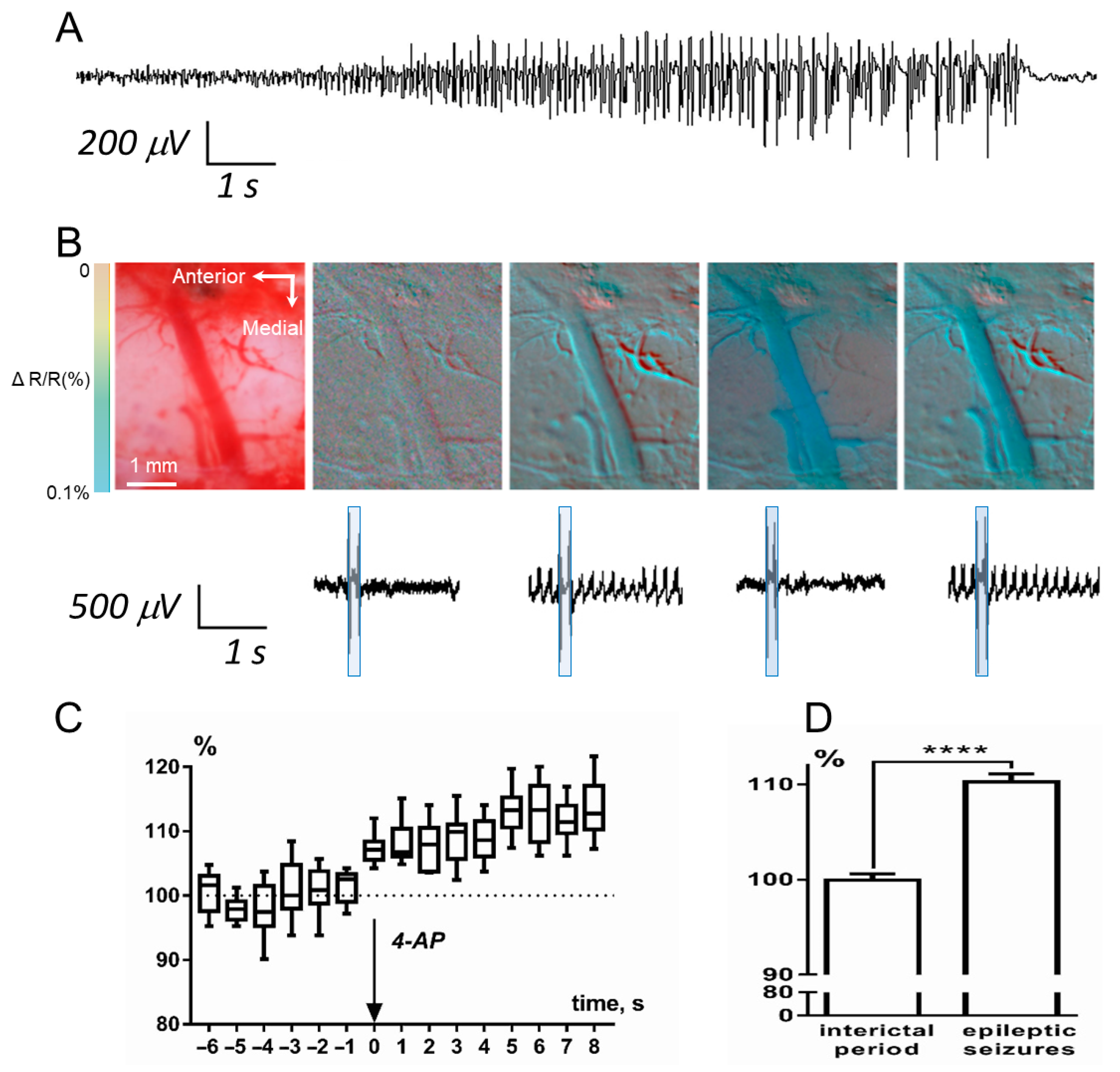 Brainsci 10 00942 g005 Brainsci 10 00942 g005