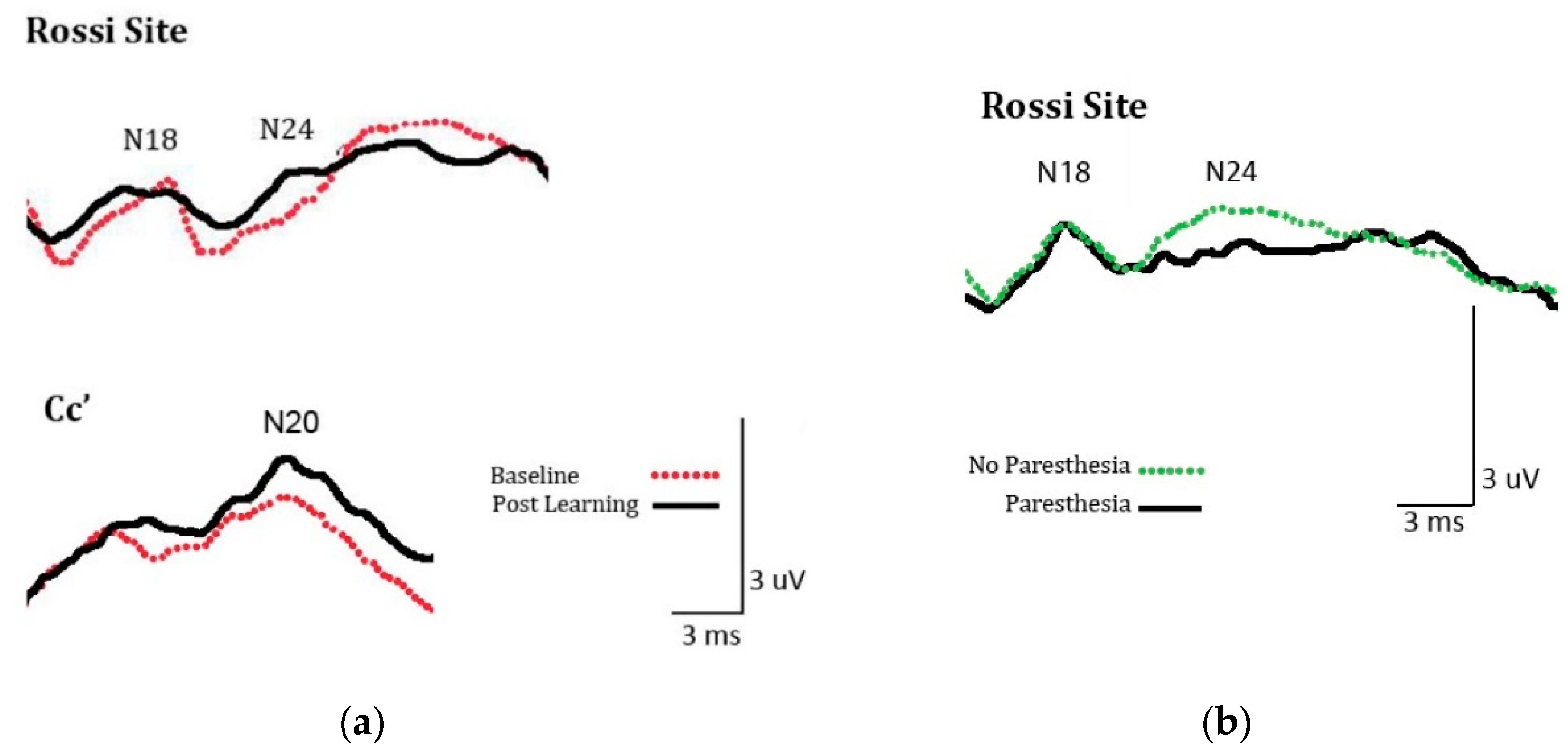 Brainsci 10 00954 g004 Brainsci 10 00954 g004