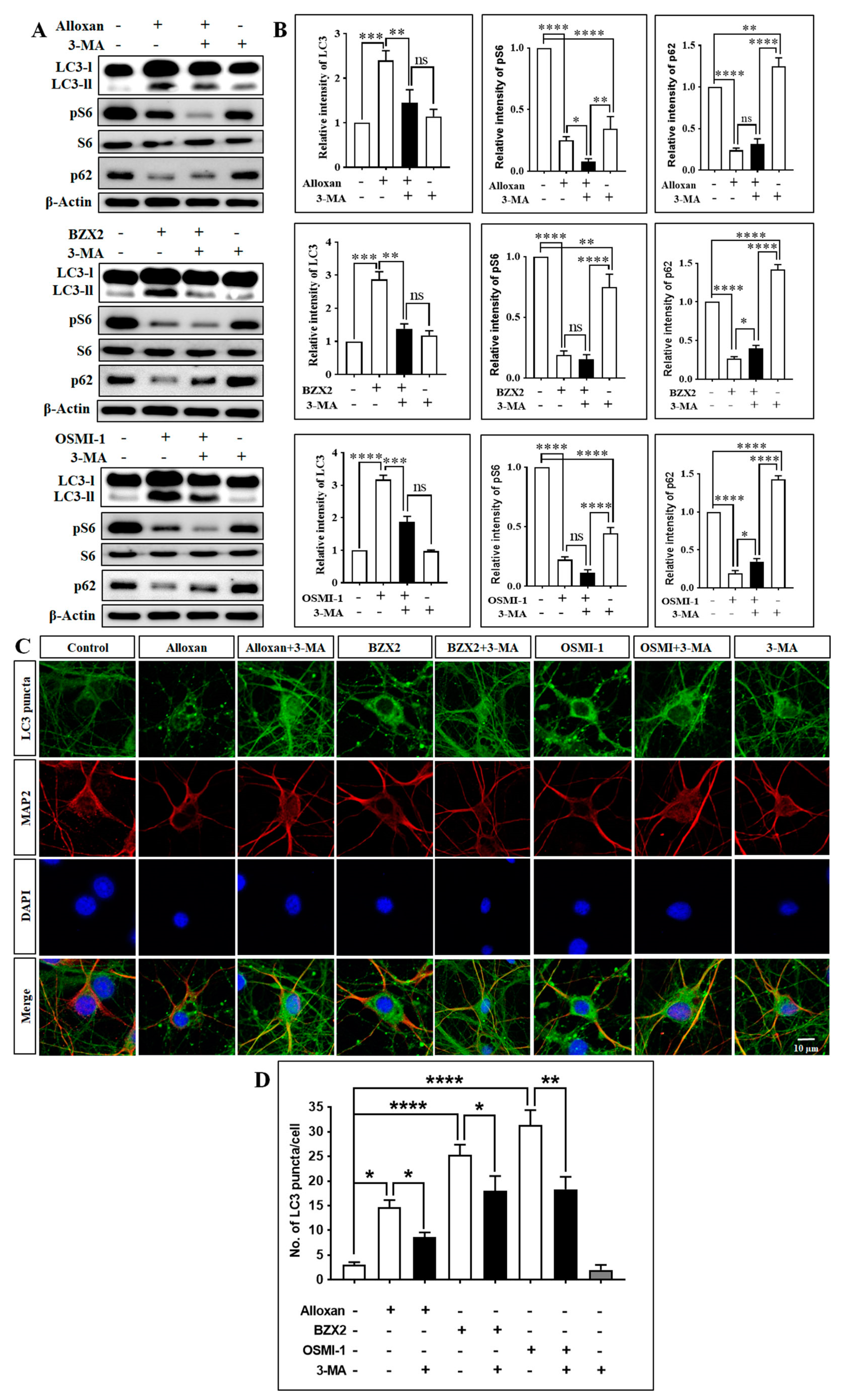 Brainsci 10 00958 g003 Brainsci 10 00958 g003