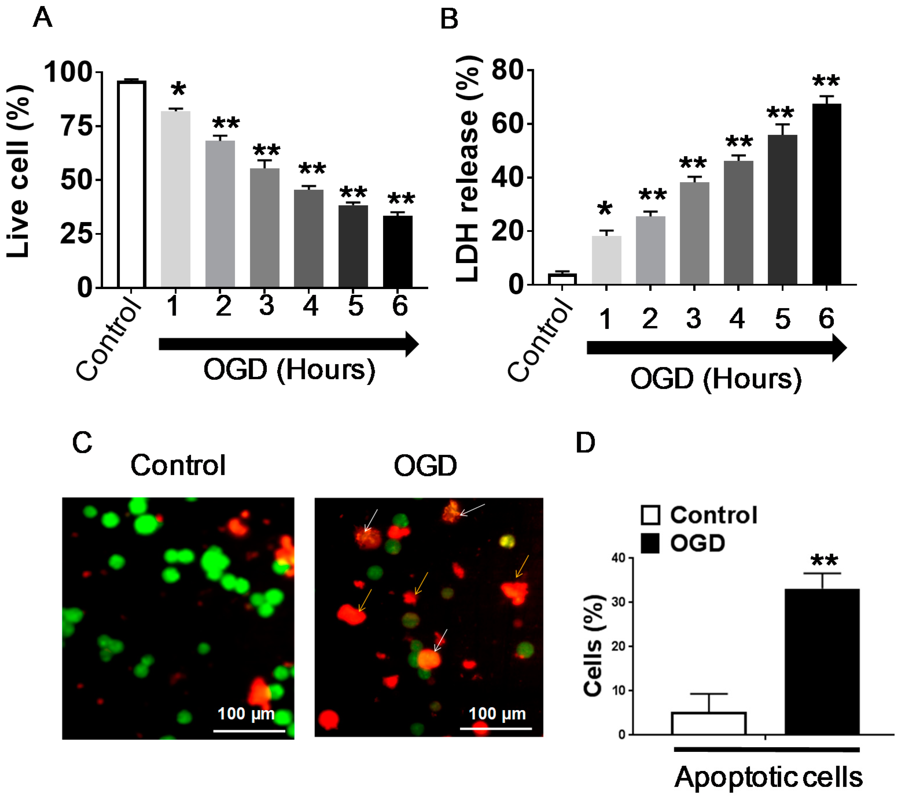 Brainsci 10 00959 g001 Brainsci 10 00959 g001