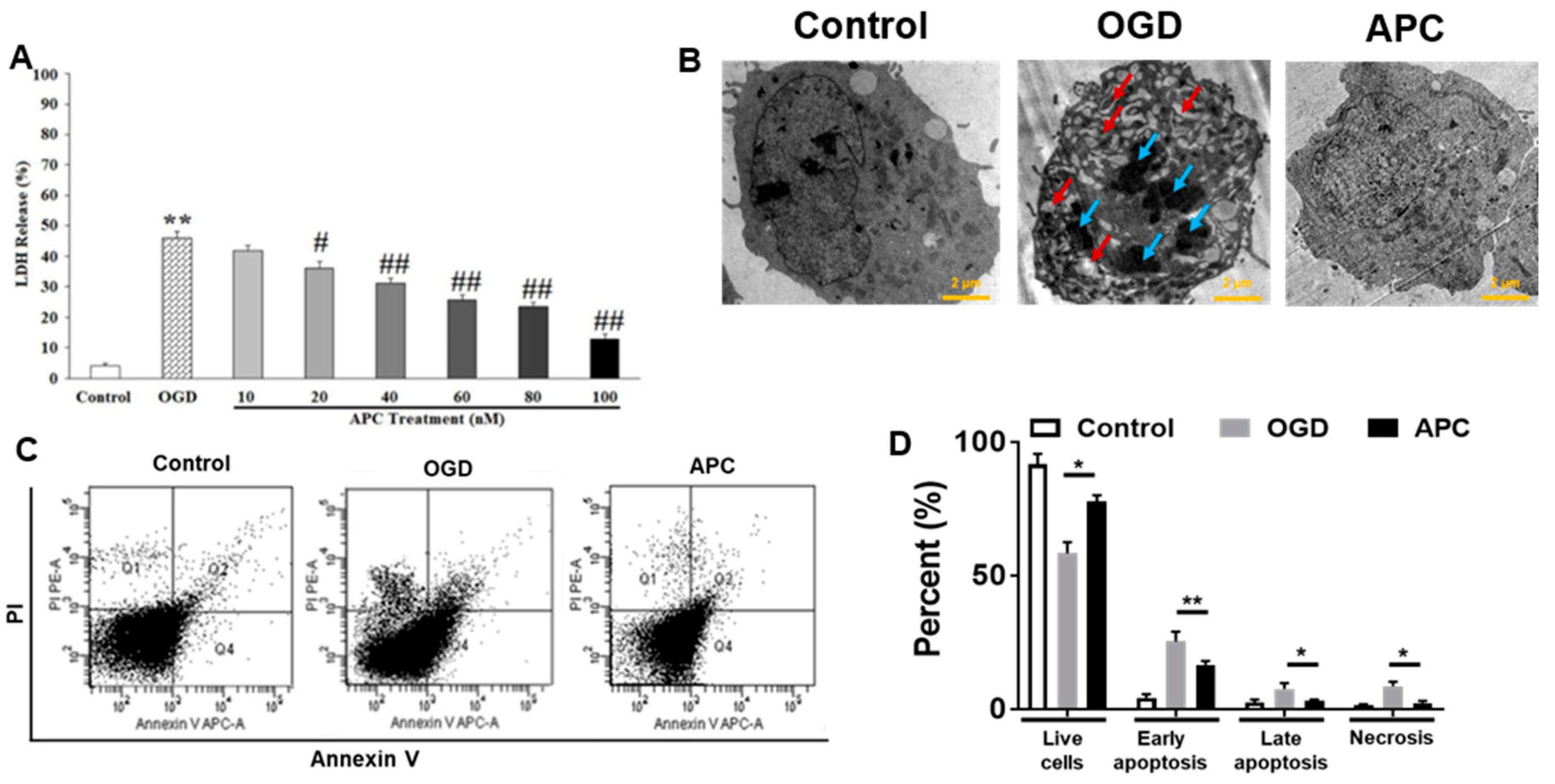 Brainsci 10 00959 g002 Brainsci 10 00959 g002