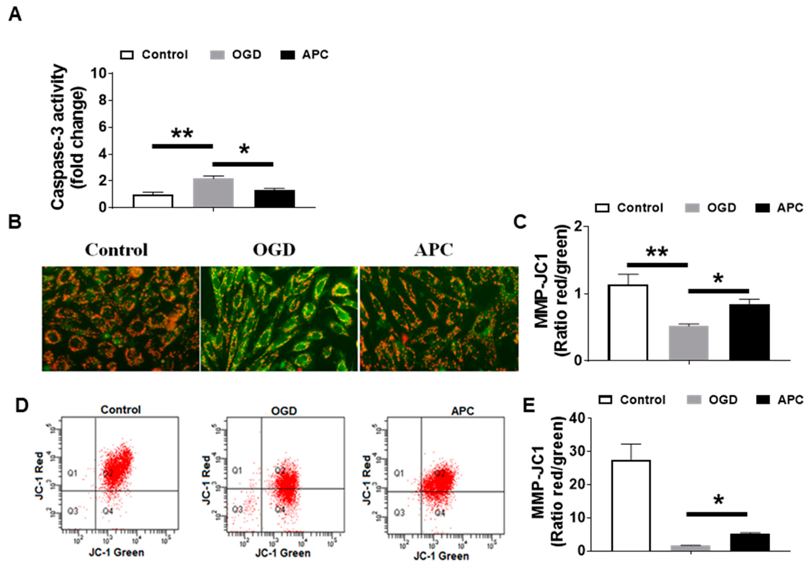 Brainsci 10 00959 g004 Brainsci 10 00959 g004
