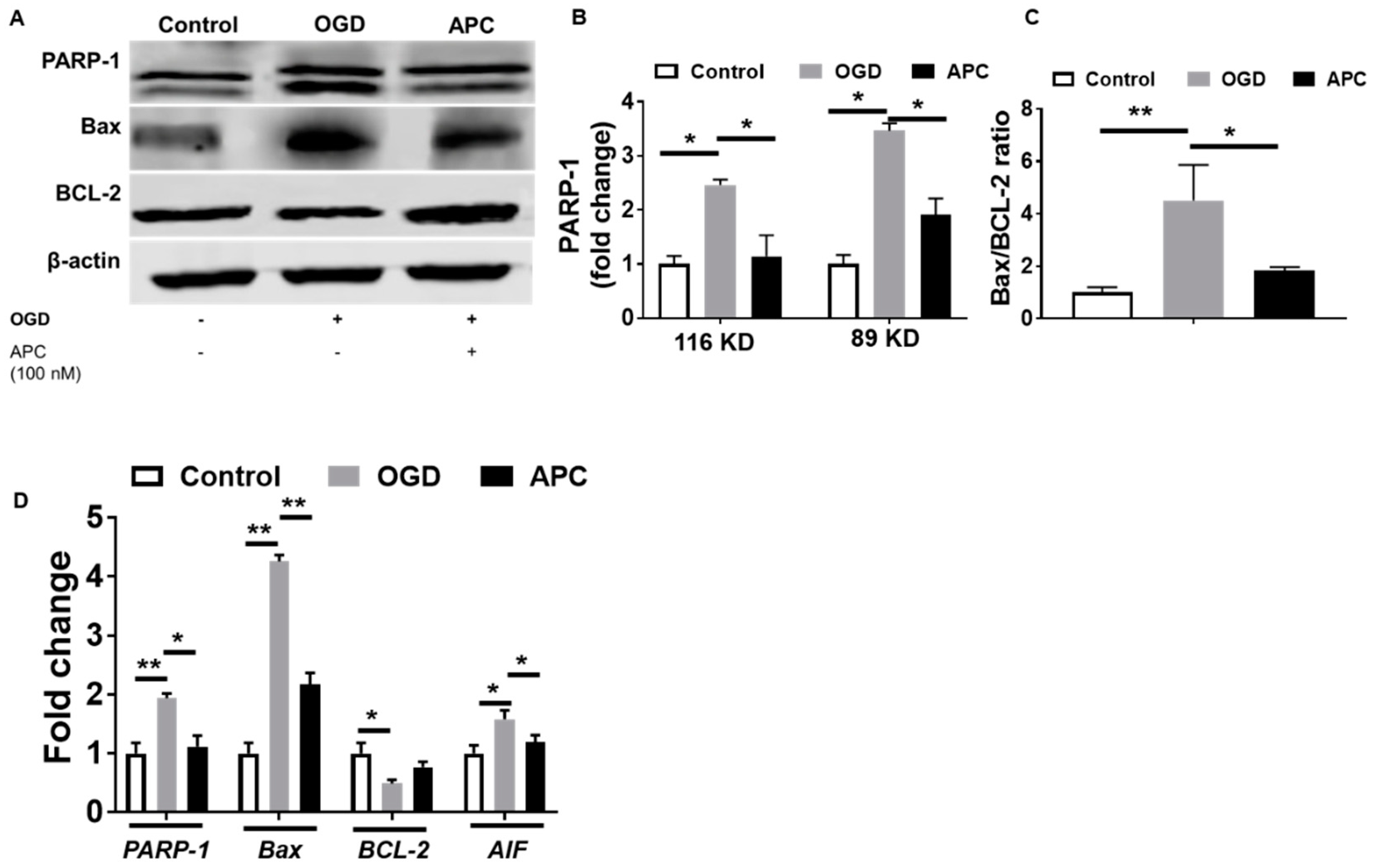 Brainsci 10 00959 g005 Brainsci 10 00959 g005