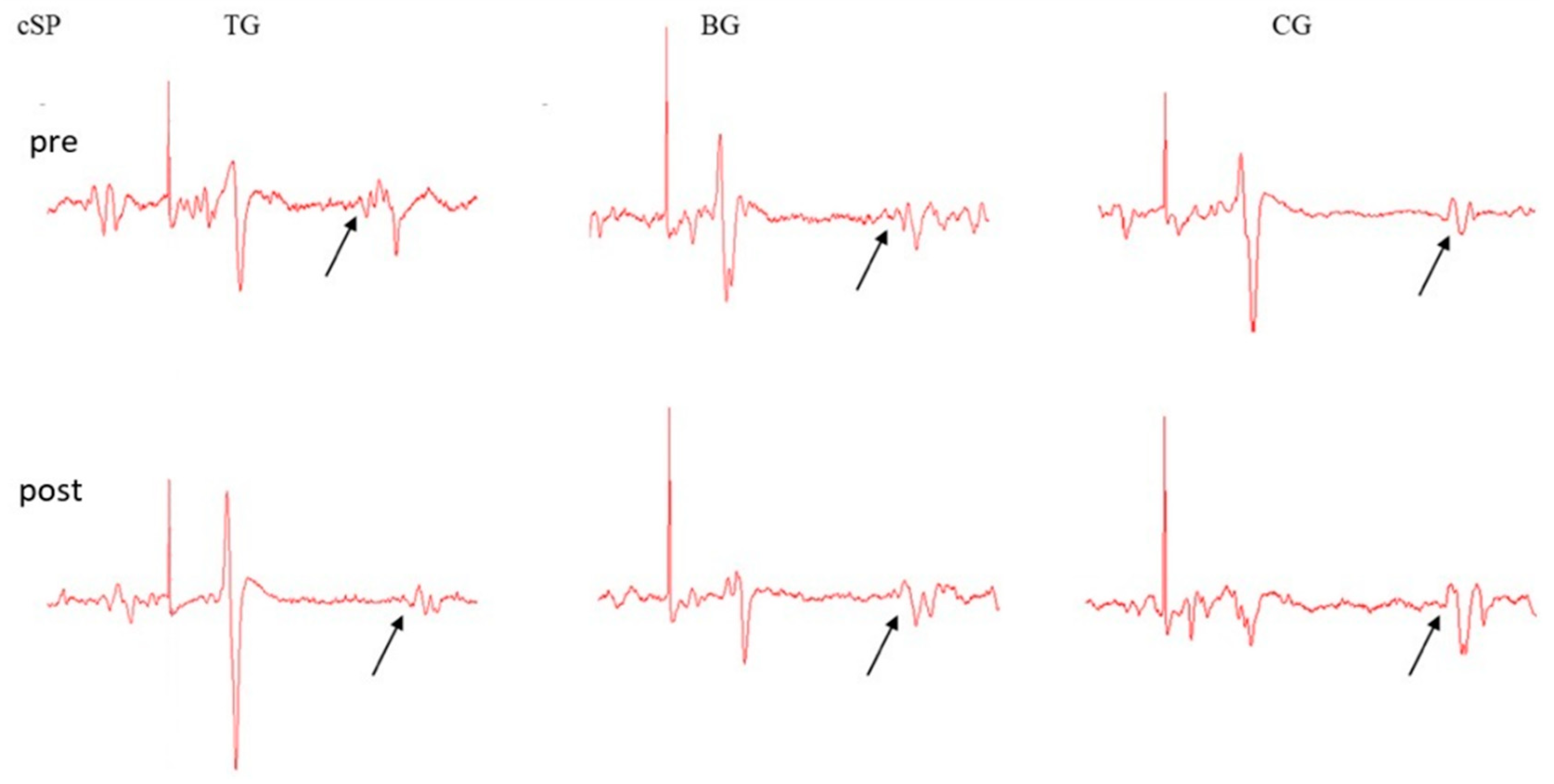 Brainsci 10 00960 g001 Brainsci 10 00960 g001