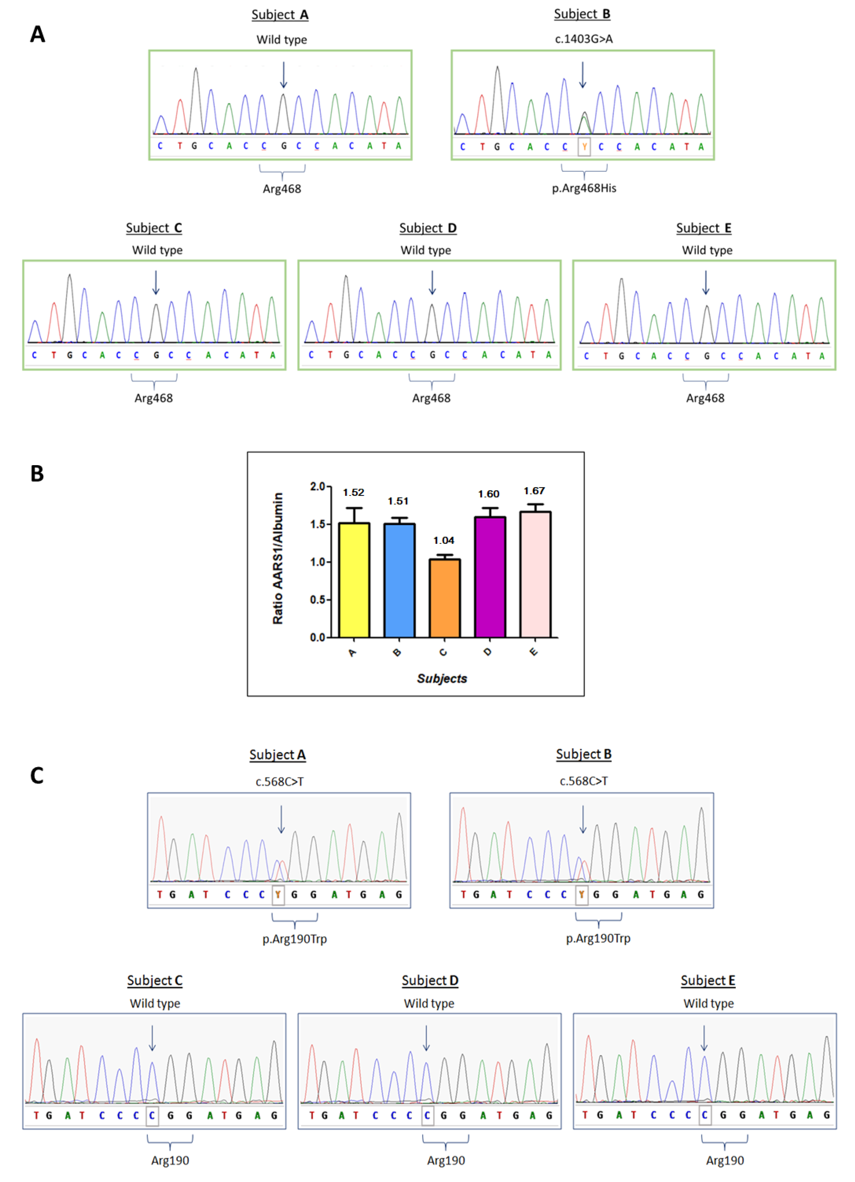 Brain Sciences Free Full Text One Multilocus Genomic Variation Is Responsible For A Severe Charcot Marie Tooth Axonal Form Html