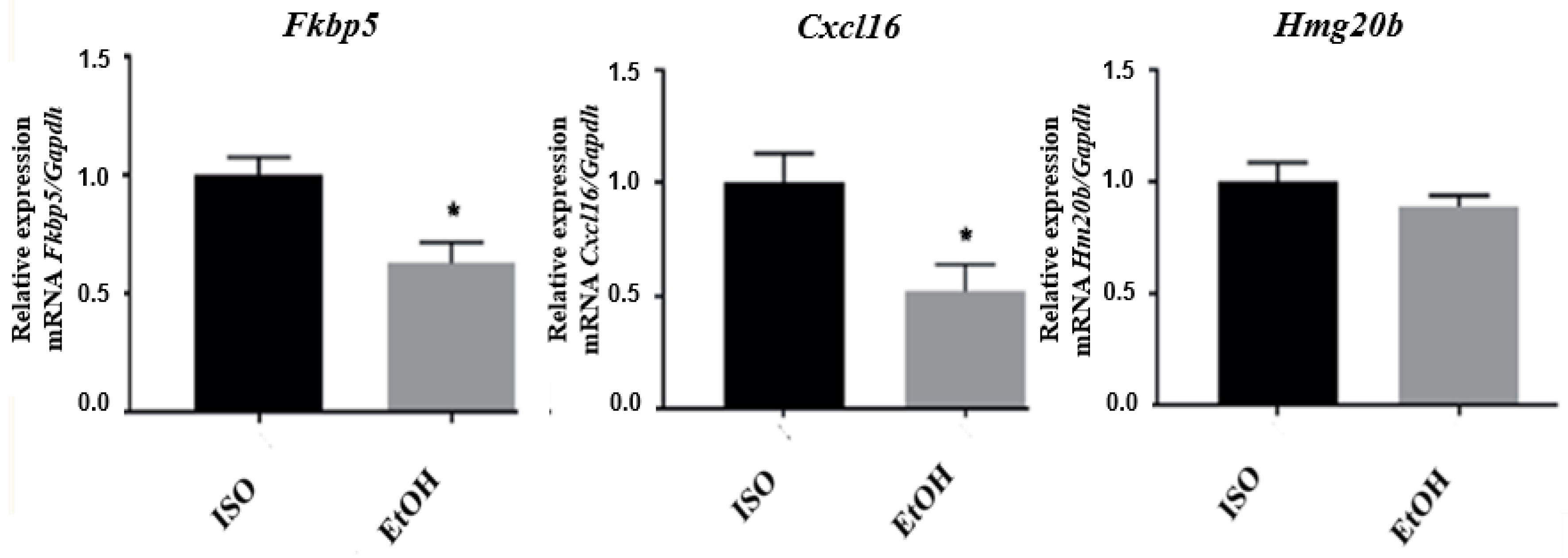 Brainsci 10 00987 g001 Brainsci 10 00987 g001