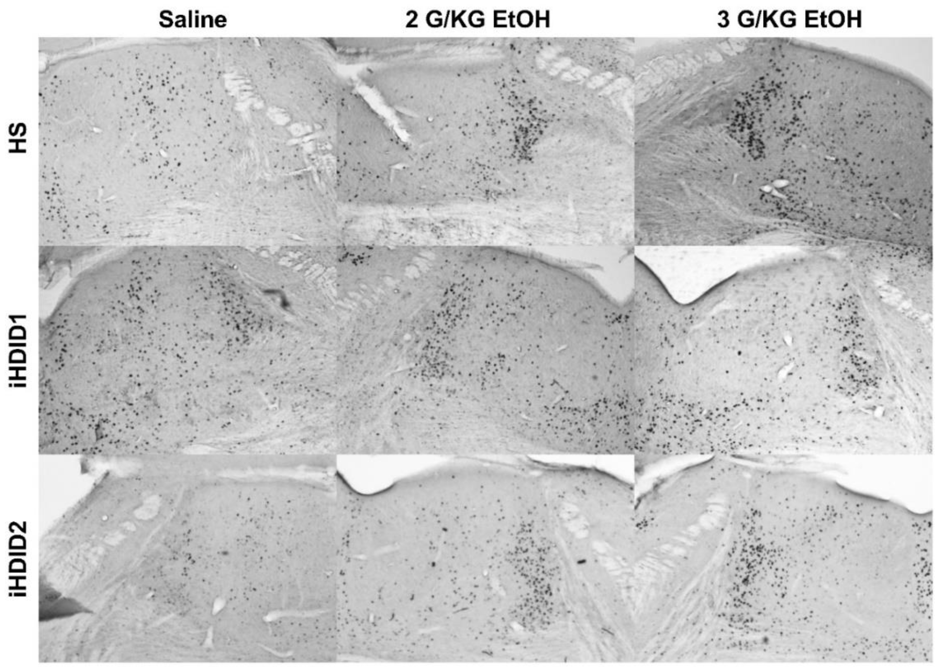 Brainsci 10 00988 g003 Brainsci 10 00988 g003