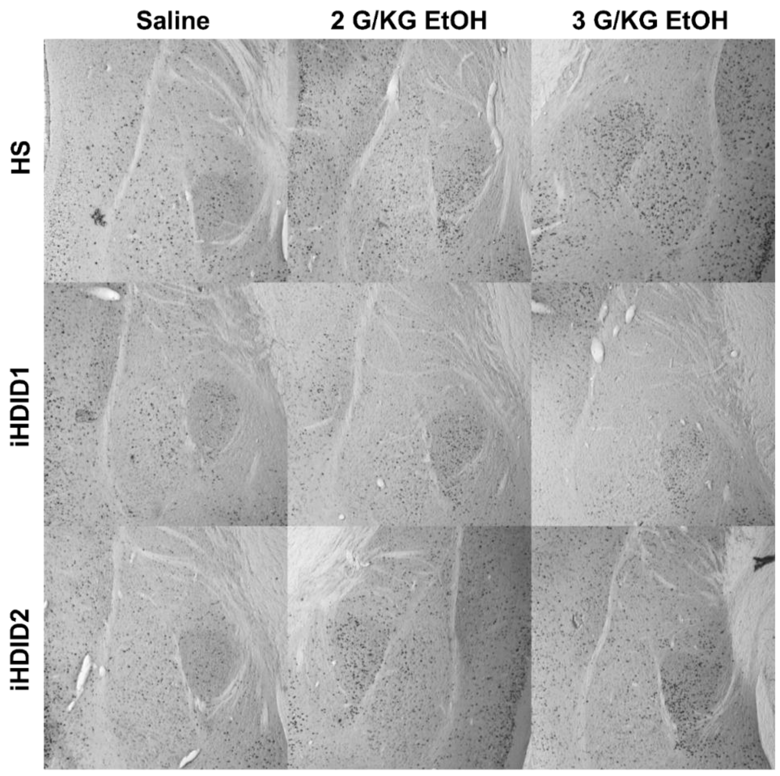 Brainsci 10 00988 g006 Brainsci 10 00988 g006