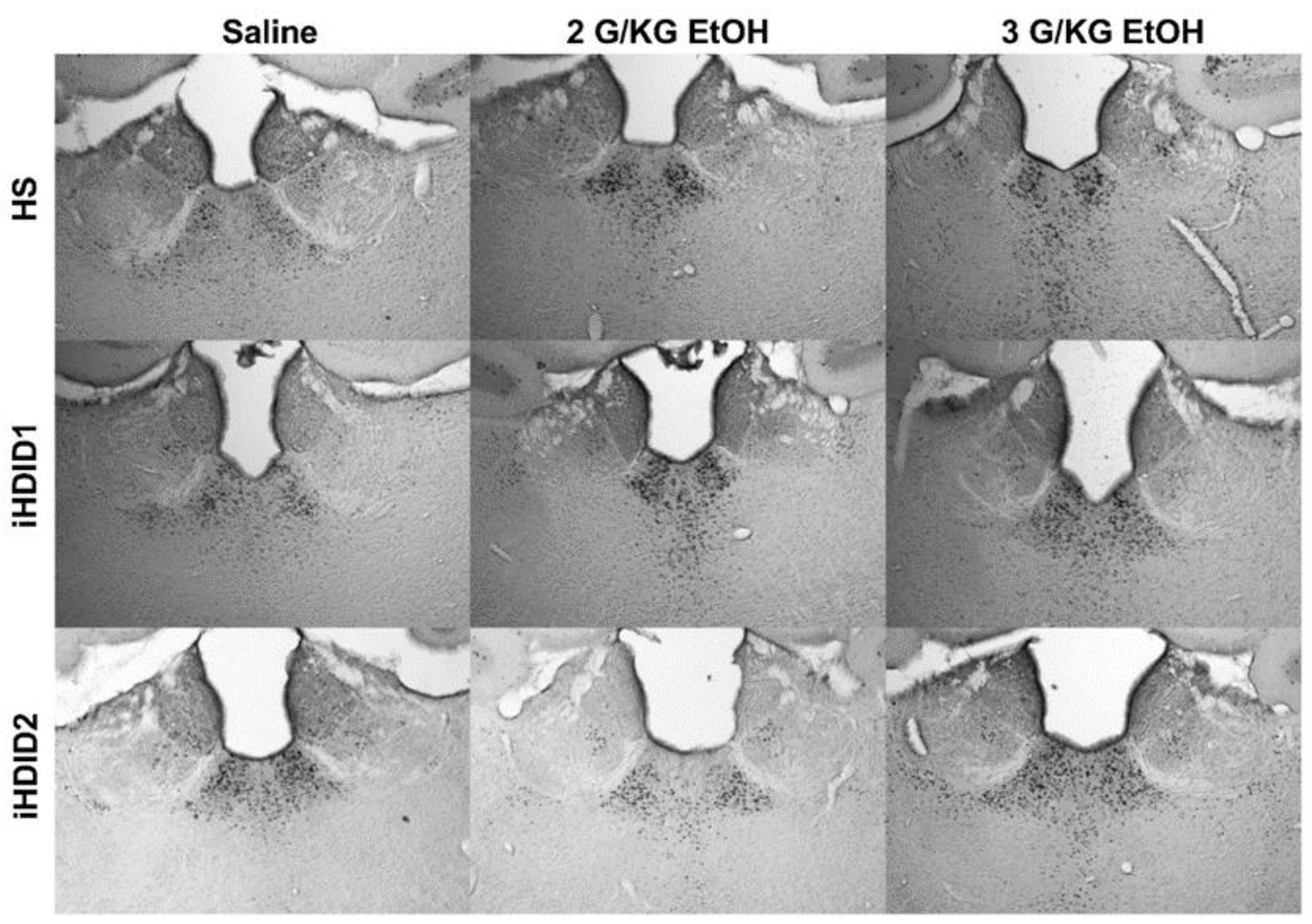 Brainsci 10 00988 g009 Brainsci 10 00988 g009