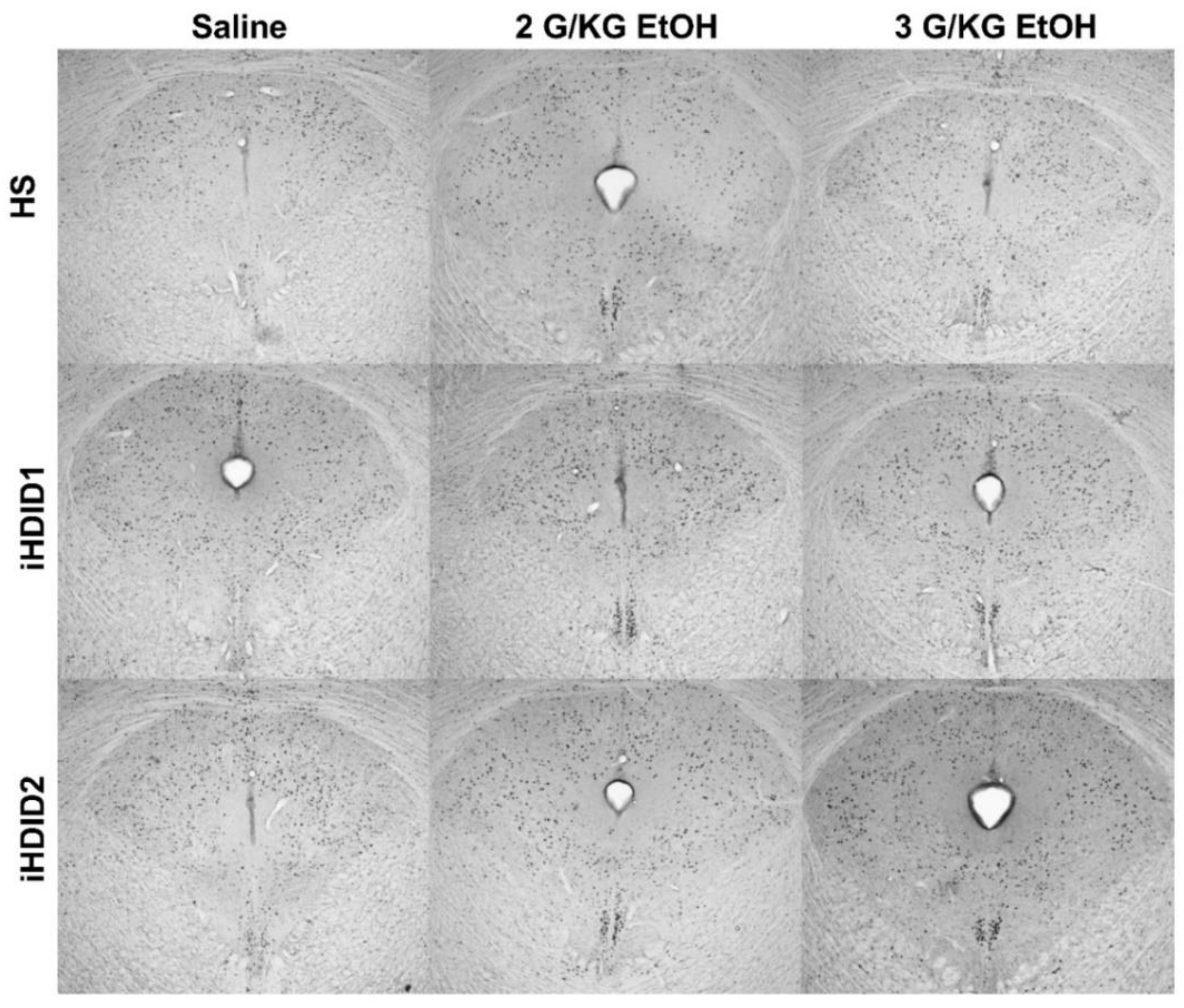 Brainsci 10 00988 g011 Brainsci 10 00988 g011