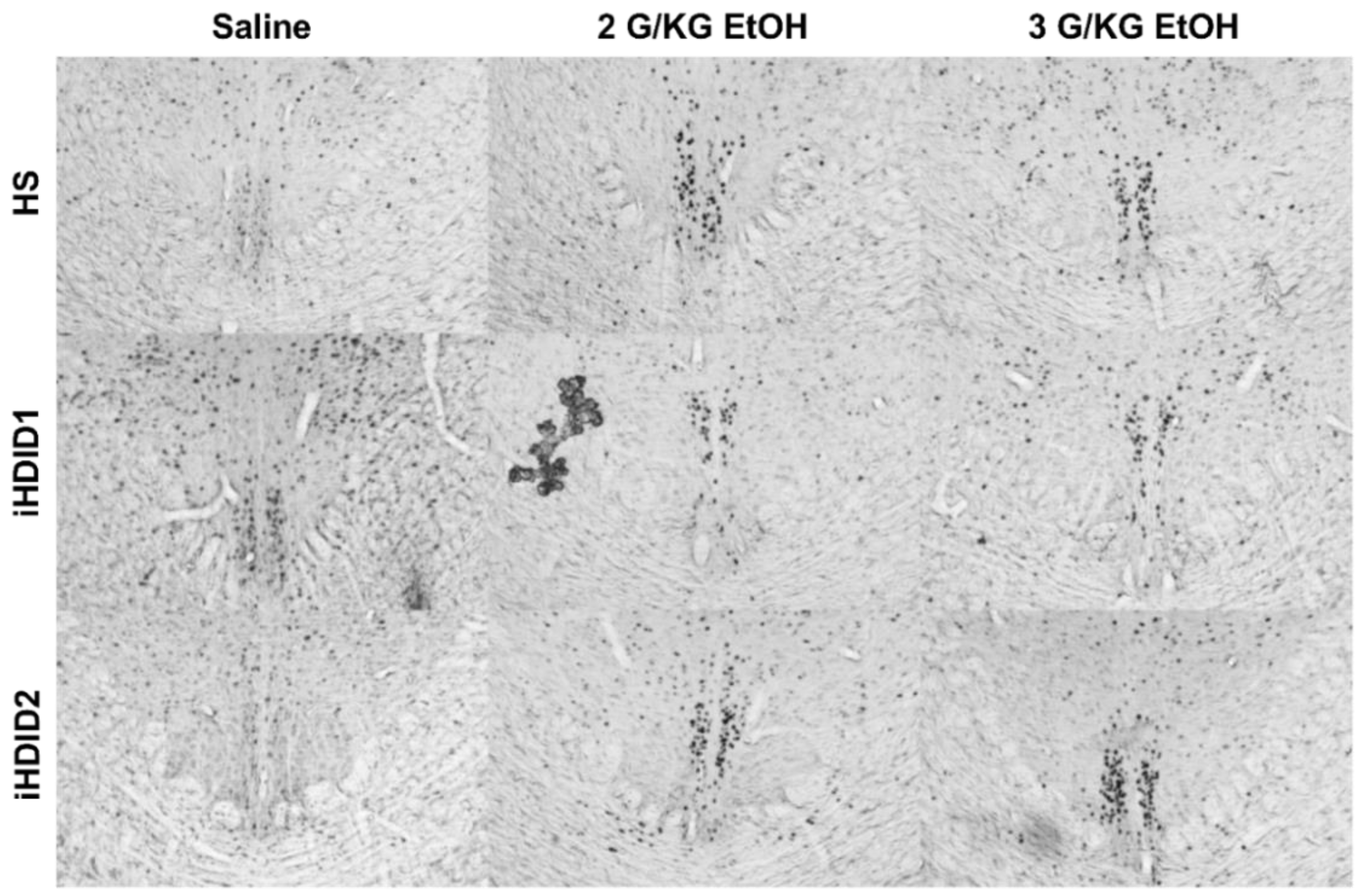 Brainsci 10 00988 g012 Brainsci 10 00988 g012