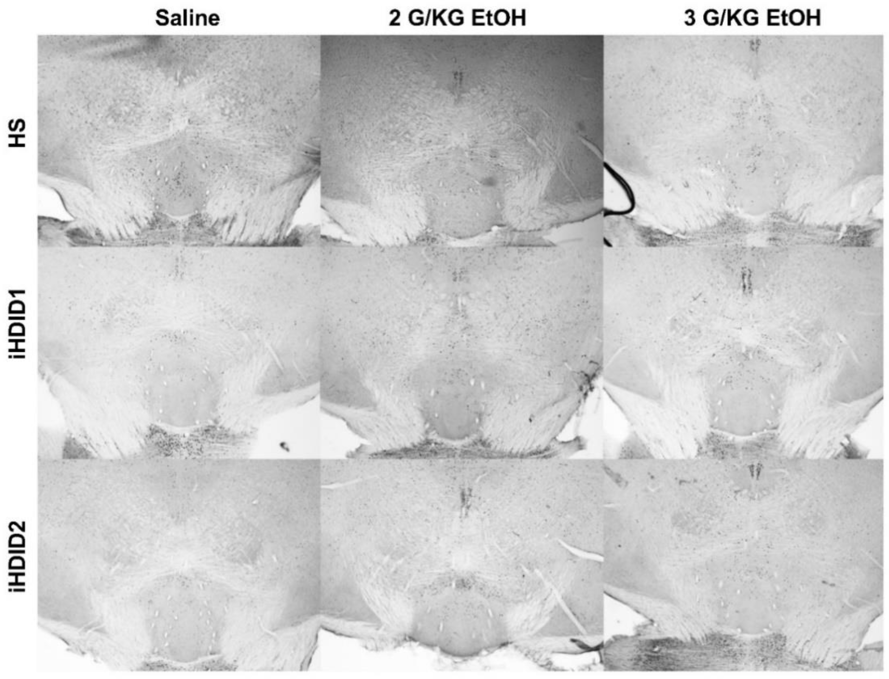 Brainsci 10 00988 g013 Brainsci 10 00988 g013