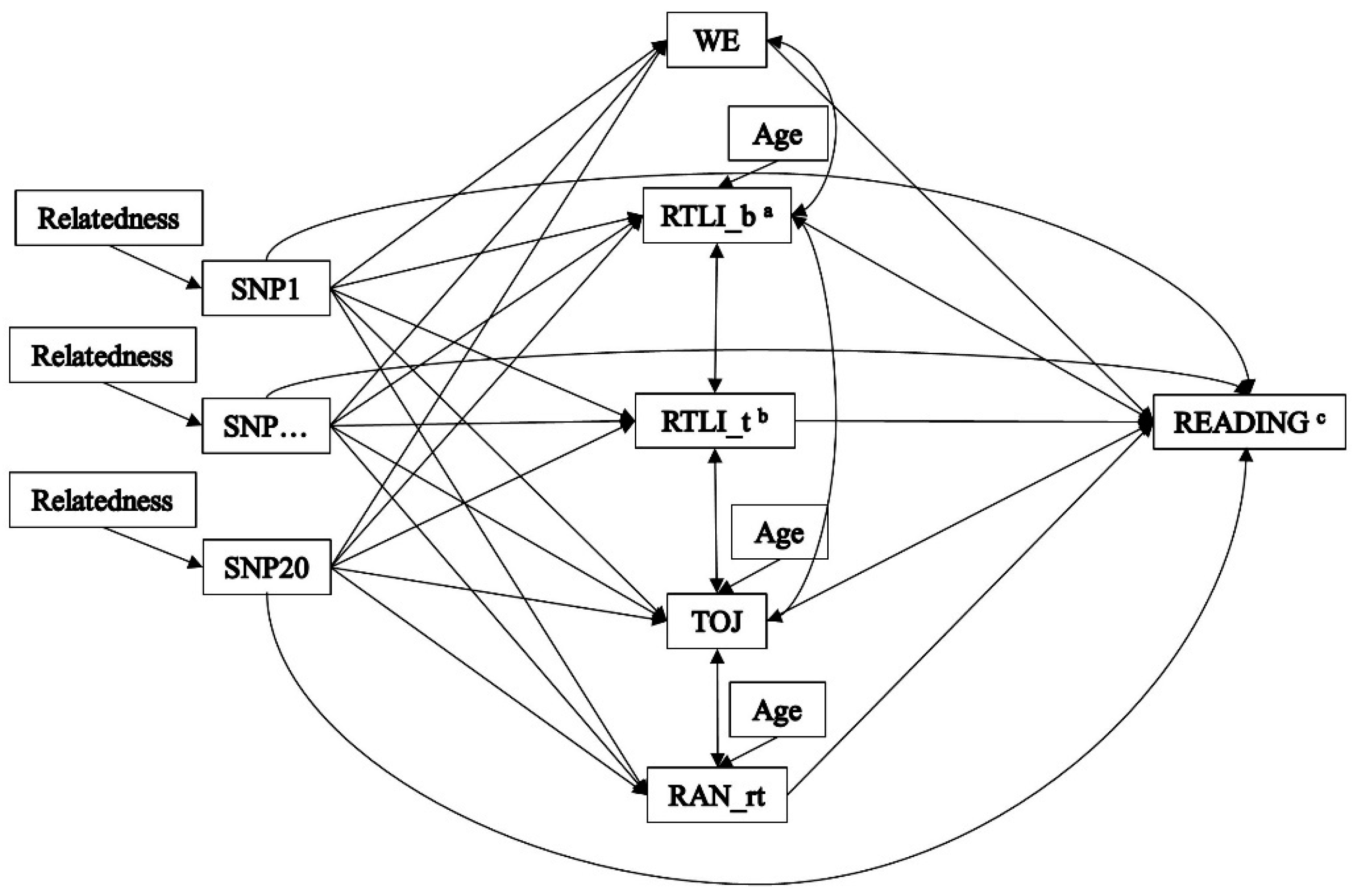 Brainsci 10 00993 g001