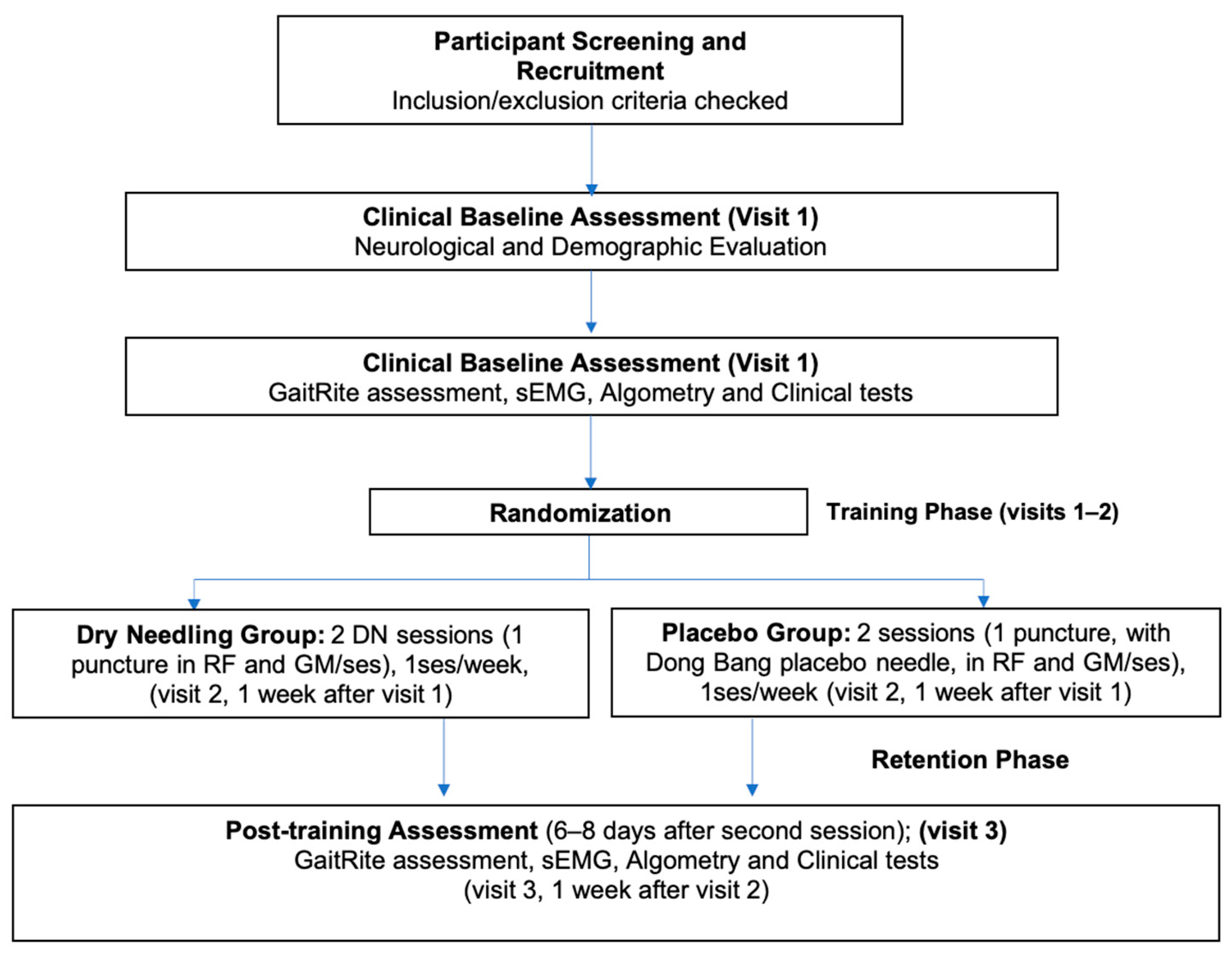 Brainsci 10 00997 g001 Brainsci 10 00997 g001