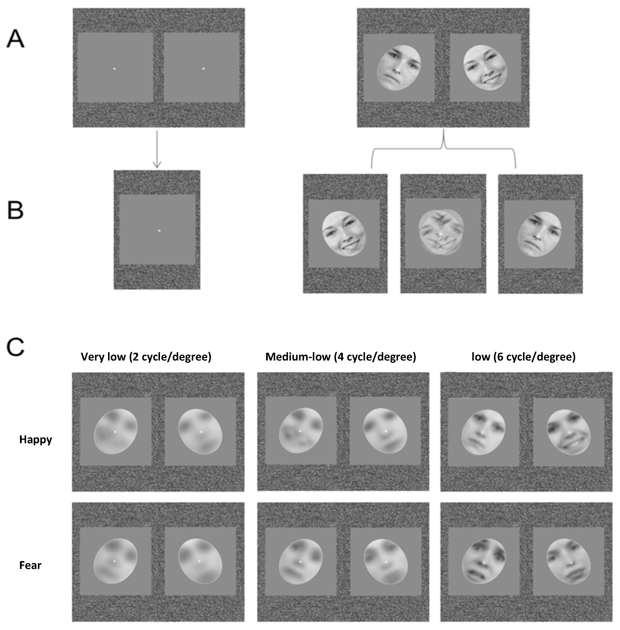 Brainsci 10 00998 g001