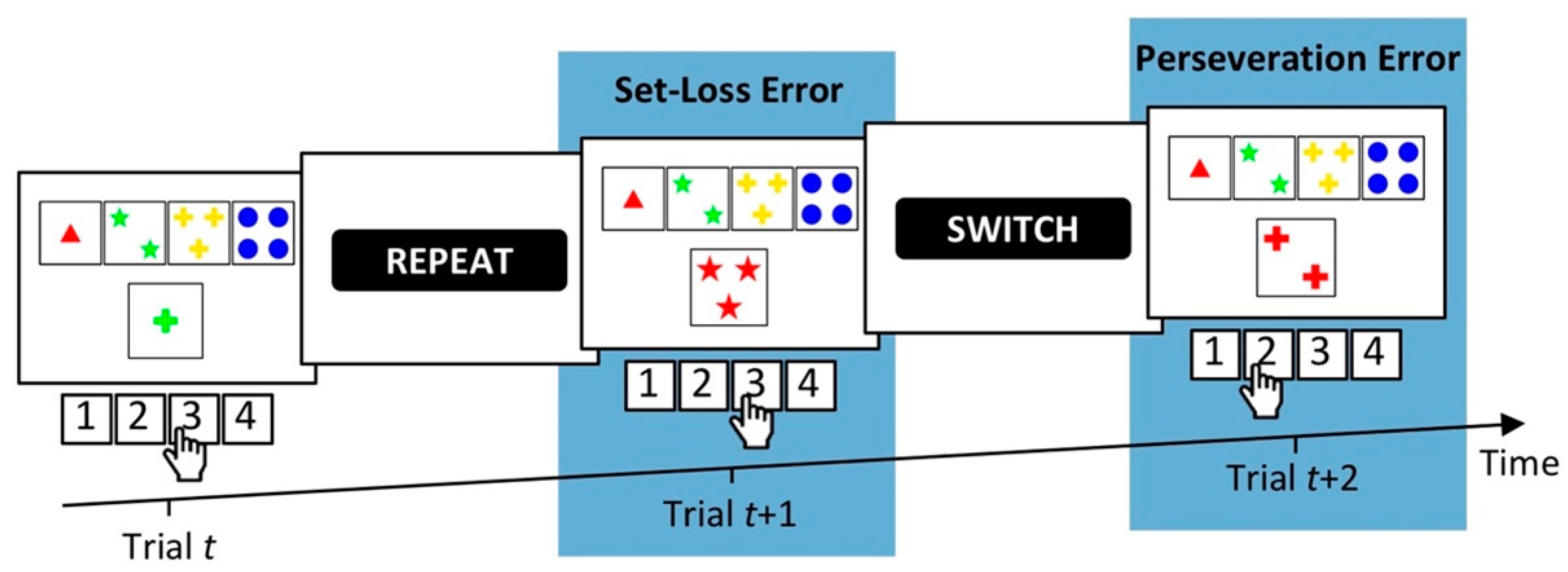 Brainsci 10 01000 g001 Brainsci 10 01000 g001