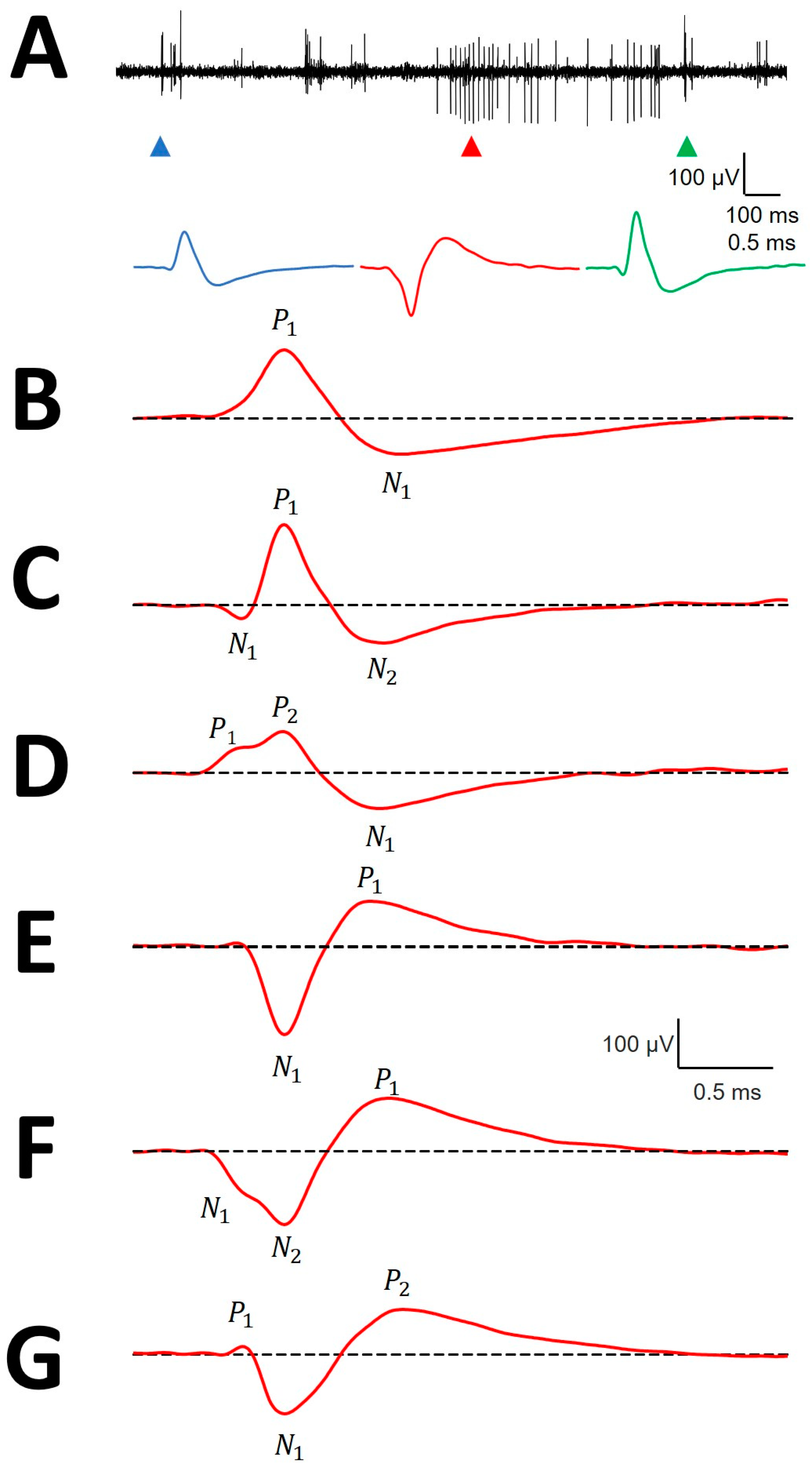 Brainsci 10 01002 g002 Brainsci 10 01002 g002