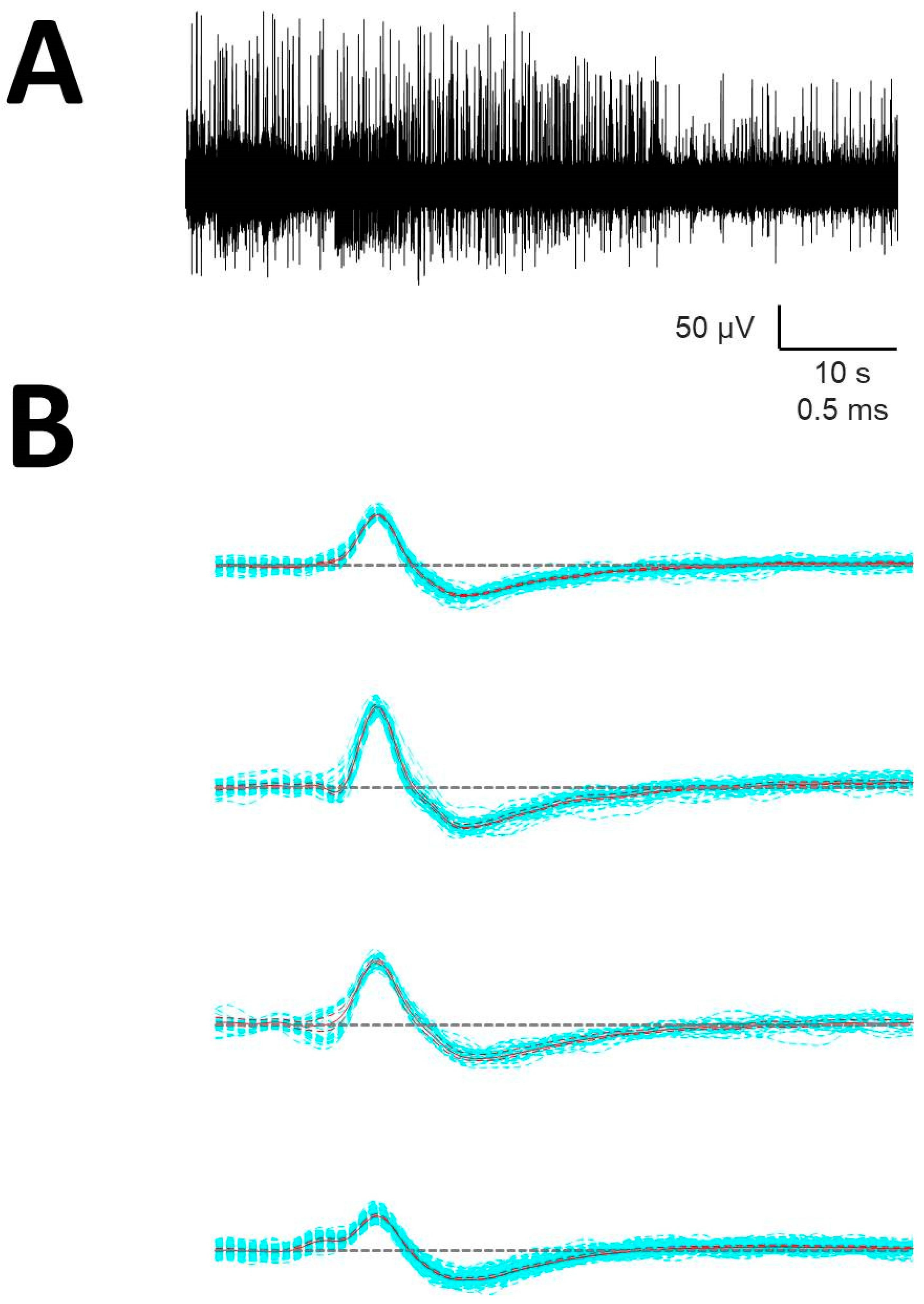 Brainsci 10 01002 g0a2 Brainsci 10 01002 g0a2