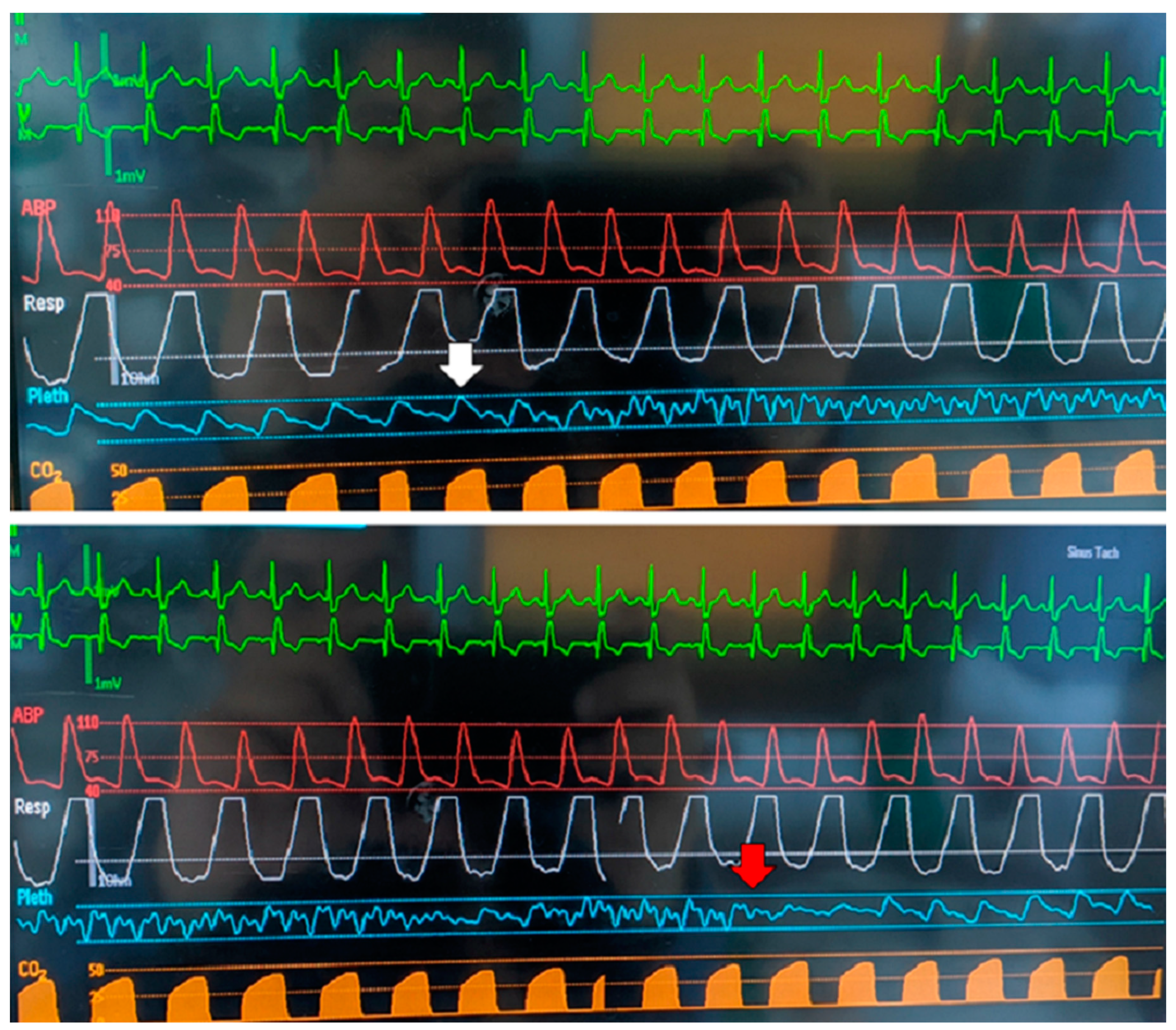 Brainsci 10 01005 g002