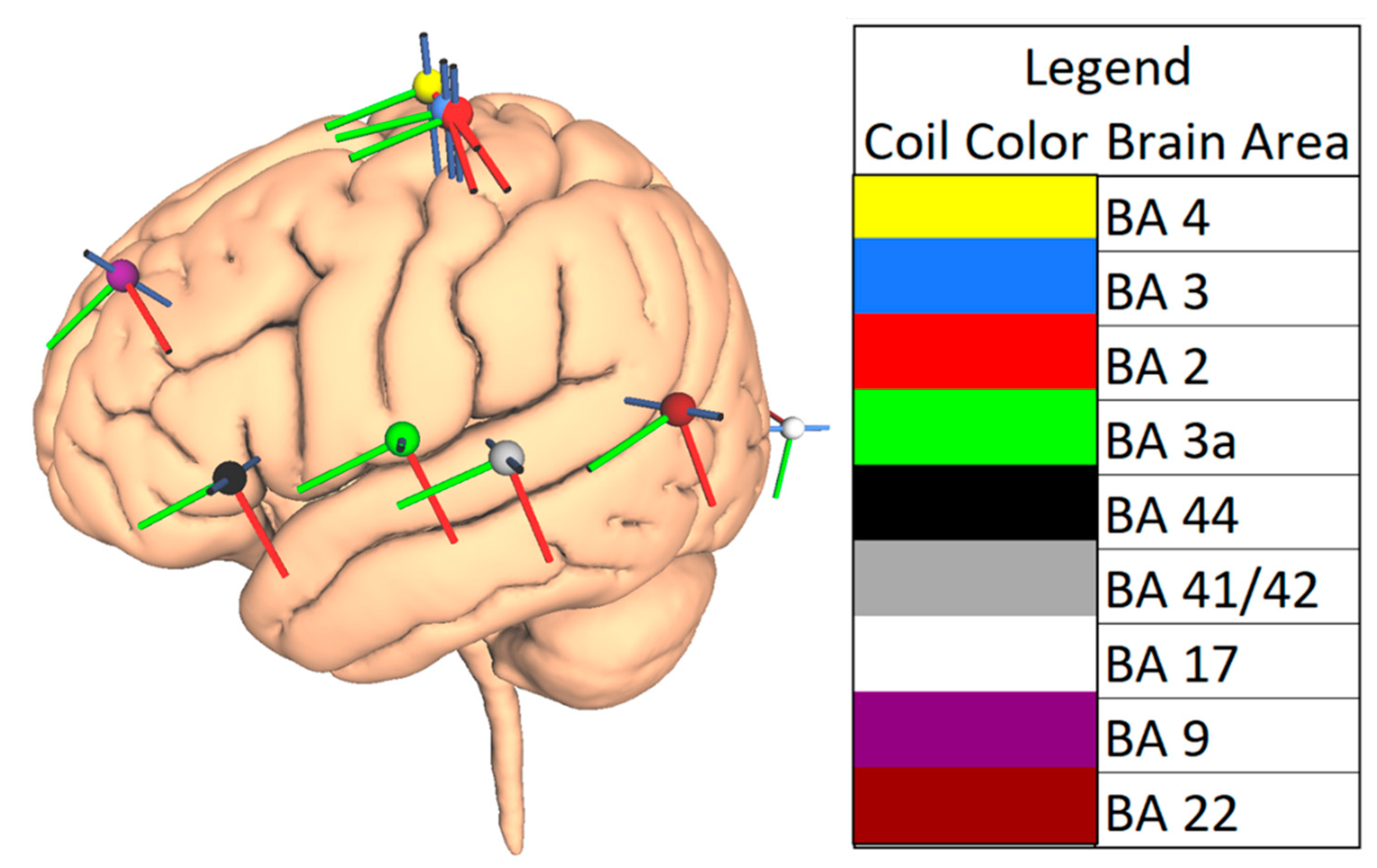 Brainsci 10 01010 g002 Brainsci 10 01010 g002