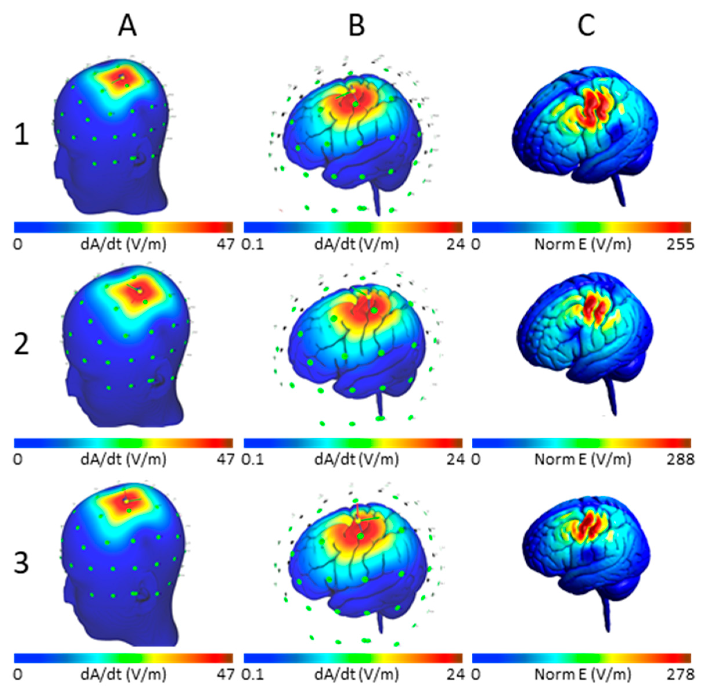 Brainsci 10 01010 g006 Brainsci 10 01010 g006