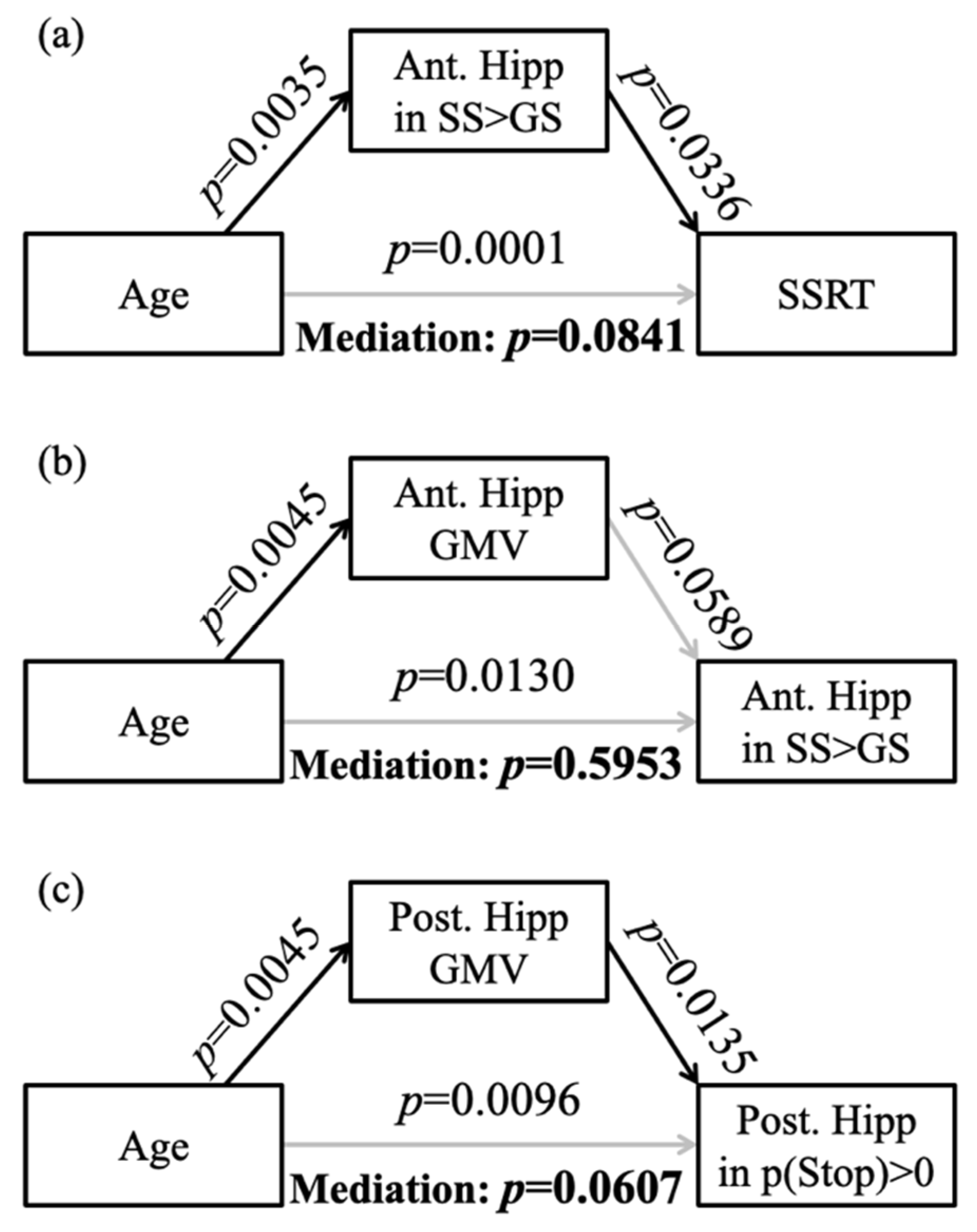 Brainsci 10 01013 g003 Brainsci 10 01013 g003