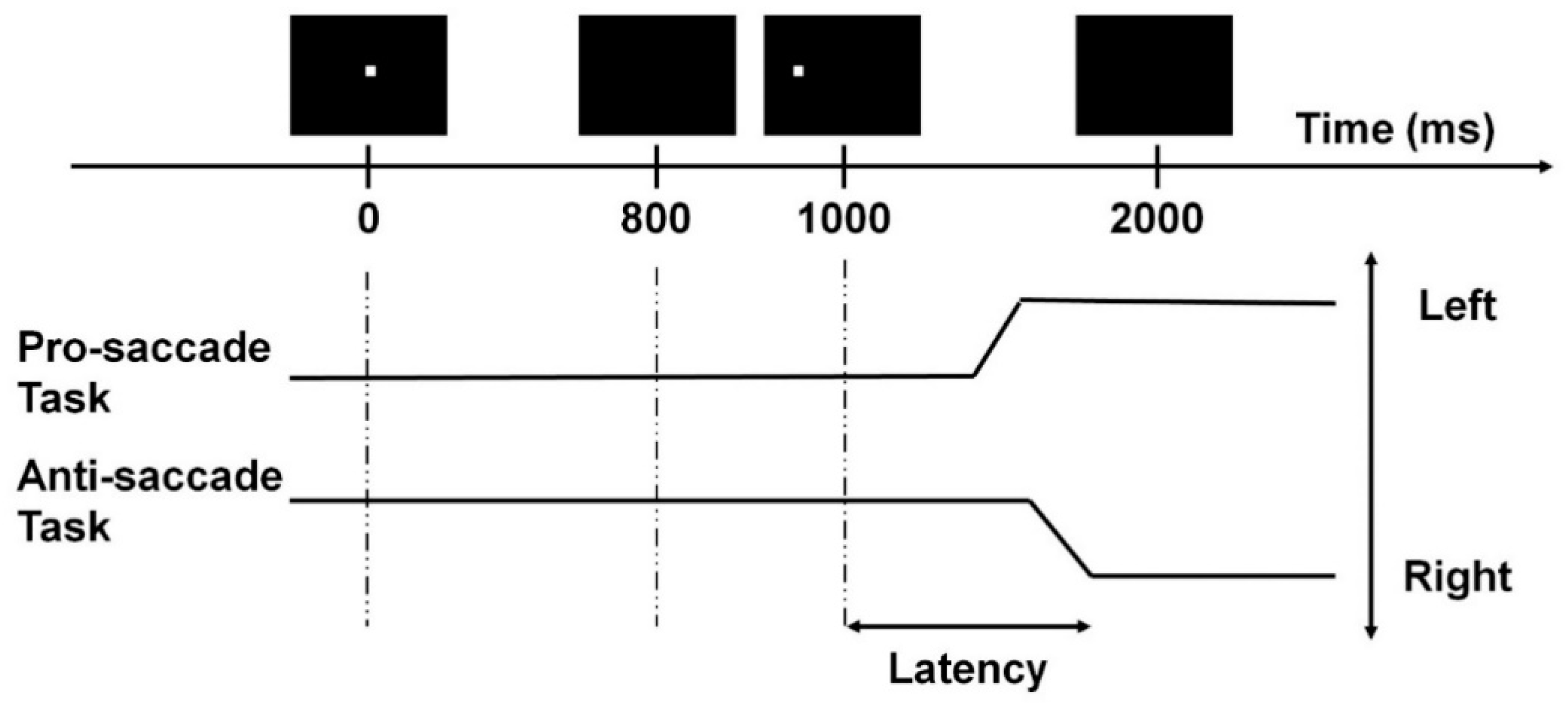 Brainsci 10 01016 g001 Brainsci 10 01016 g001