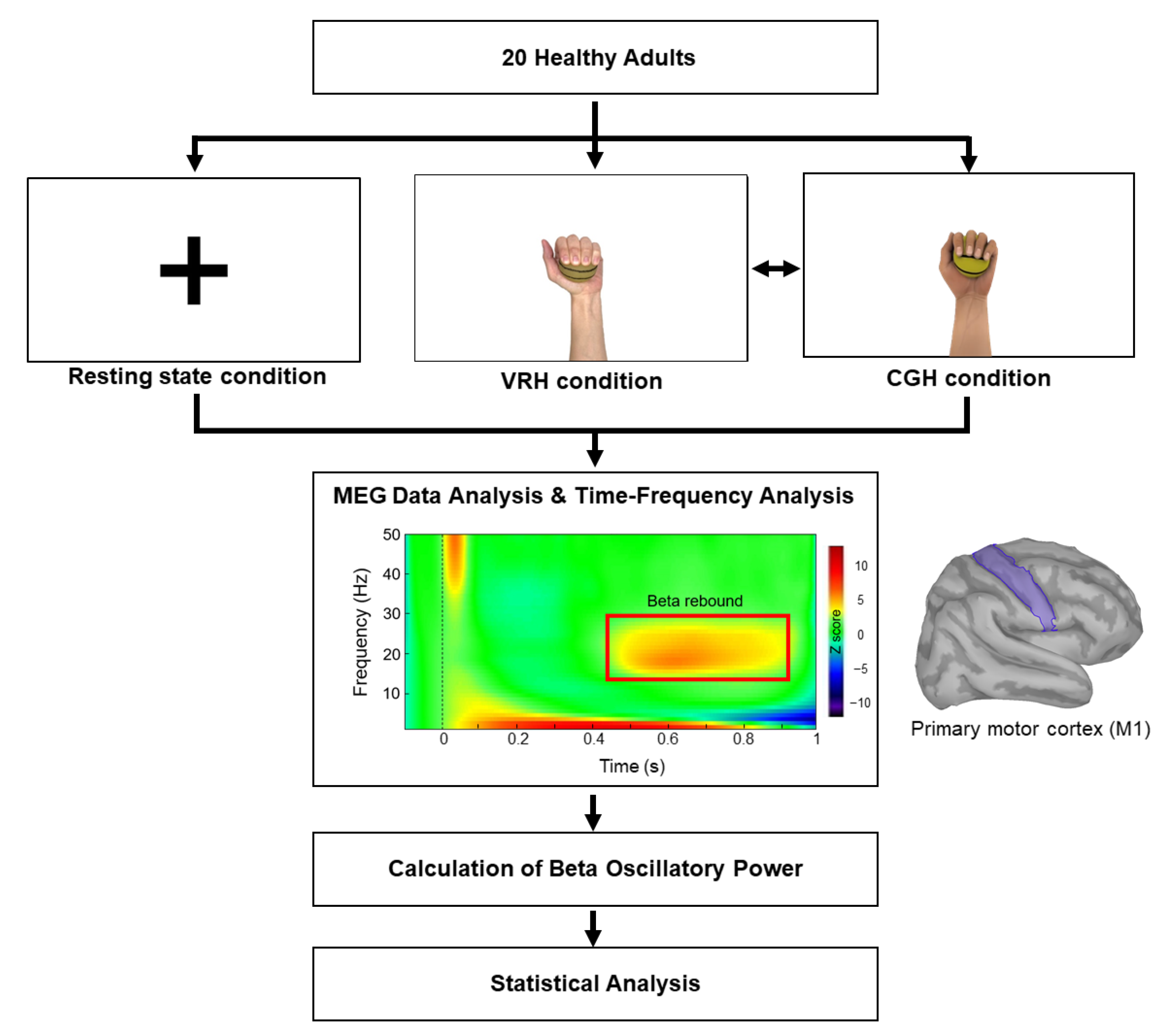 Brainsci 11 00006 g001