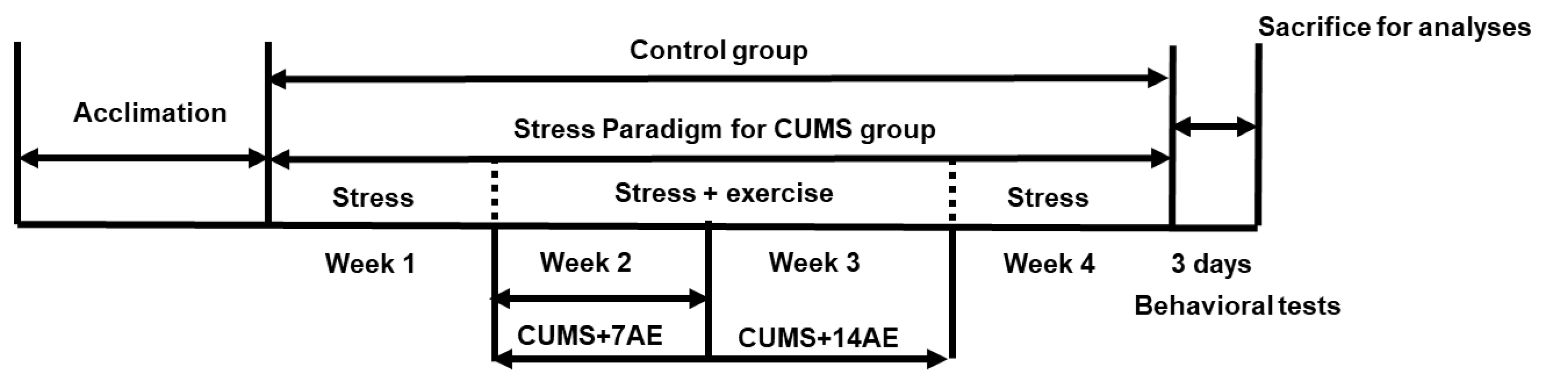 Brainsci 11 00009 g001
