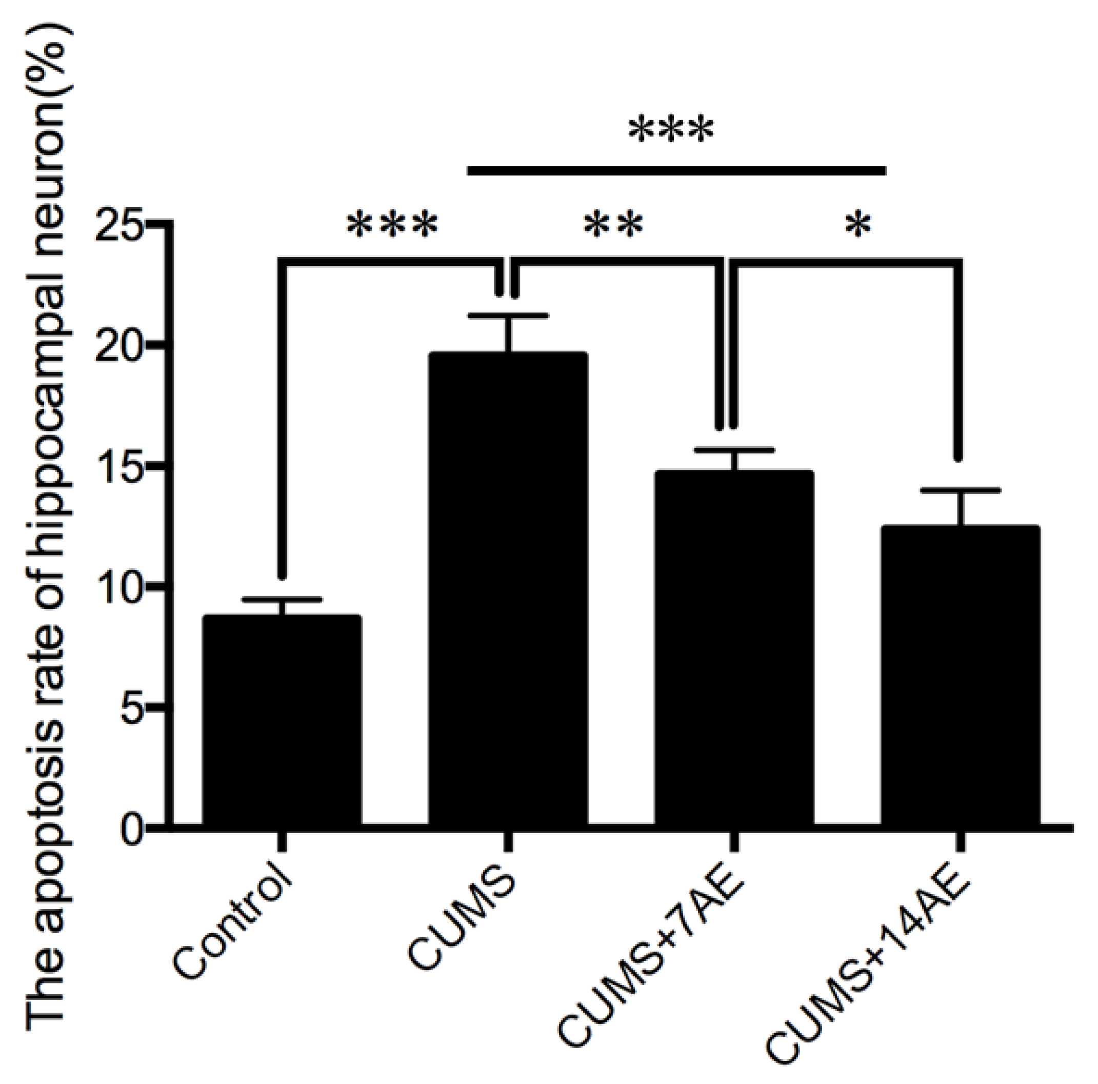 Brainsci 11 00009 g003